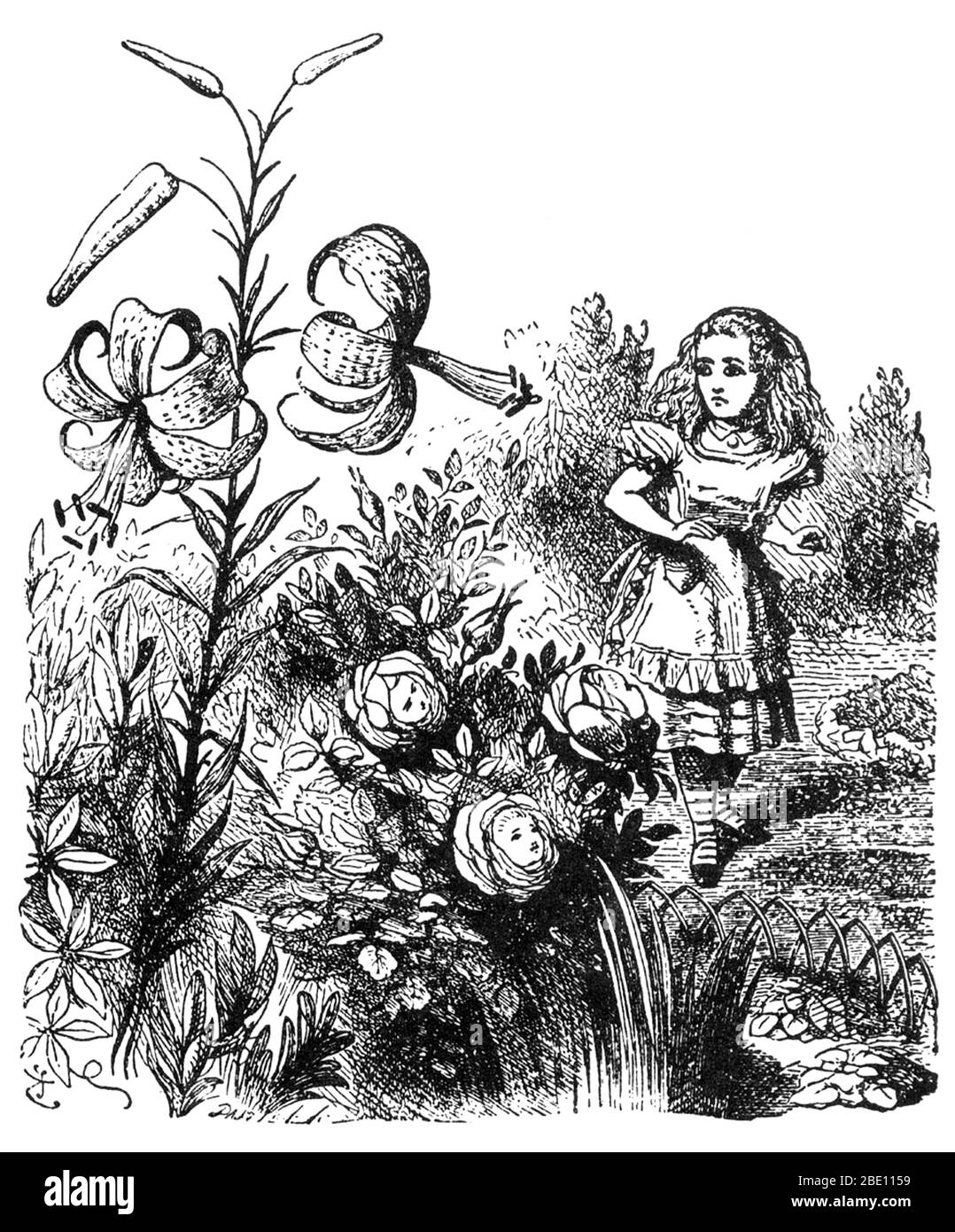 Durch das Looking-Glass Alice im Garten der lebenden Blumen Stockfoto