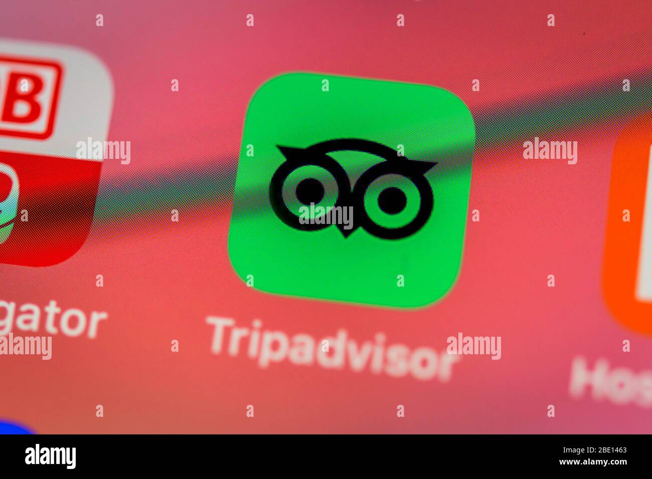 TripAdvisor-App, Symbol, Logo, Display, iPhone, Mobiltelefon, Smartphone, iOS, Makroaufnahme, Detail, Vollformat Stockfoto