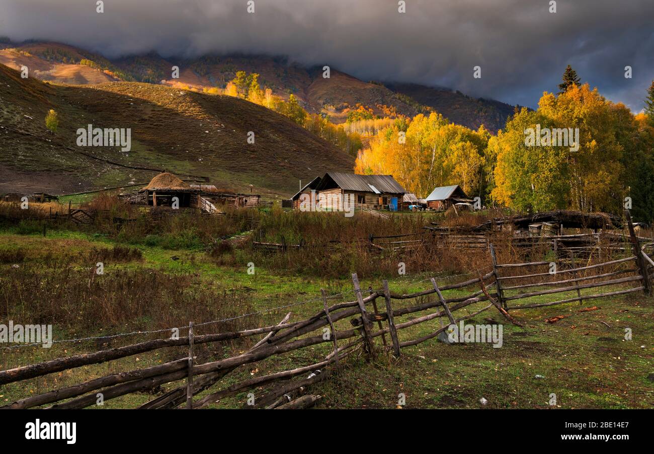 Ein kasachische Bauernhof am Fuße des bunten Herbstes in Altay Region, China. Stockfoto