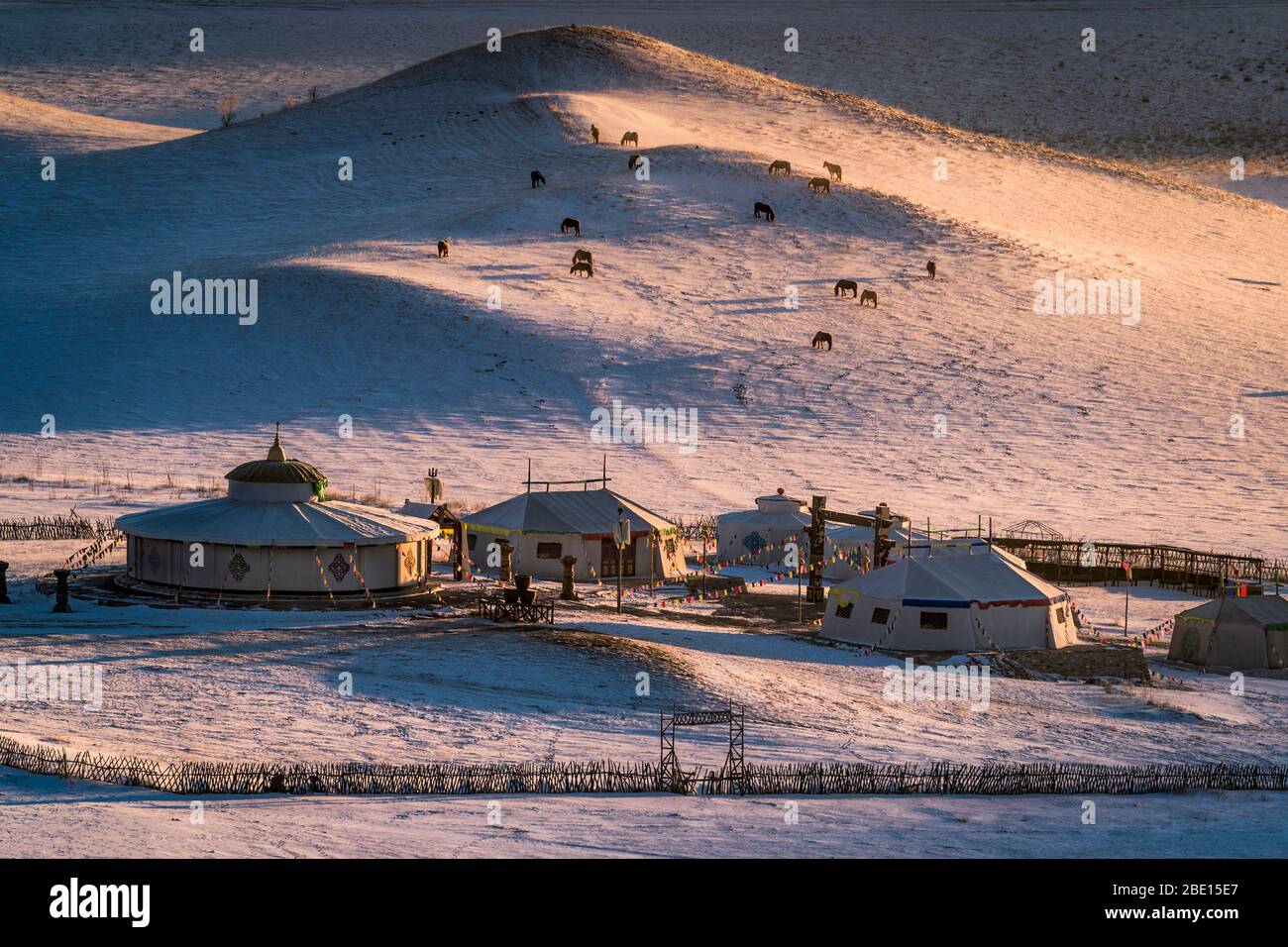 Mongolische Gers (Jurten) auf gefrorenem Schneefeld der Wüste Gobi, im Morgenlicht. Stockfoto