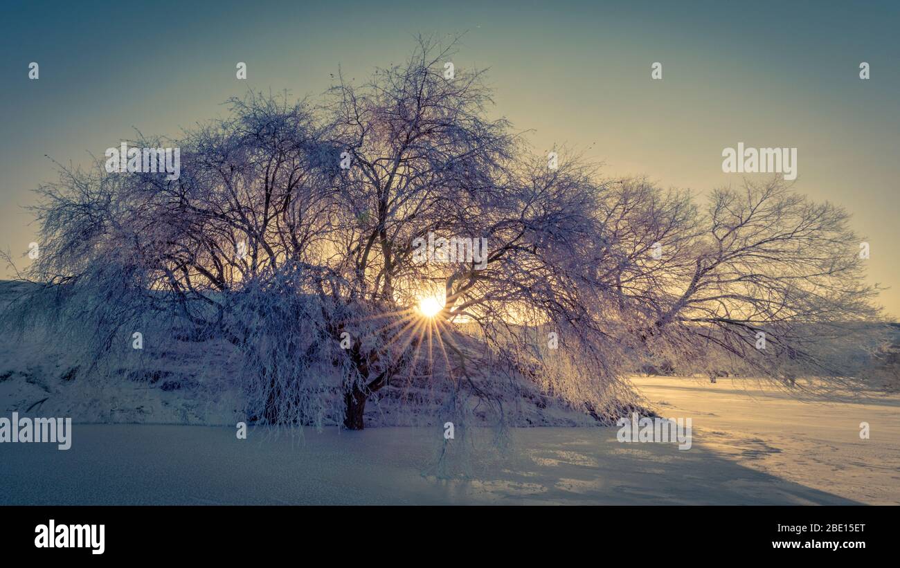 Winteraufgangszeit über gefrorenem Fluss und Reim von mattierten Bäumen an einem sehr kalten Morgen. Stockfoto