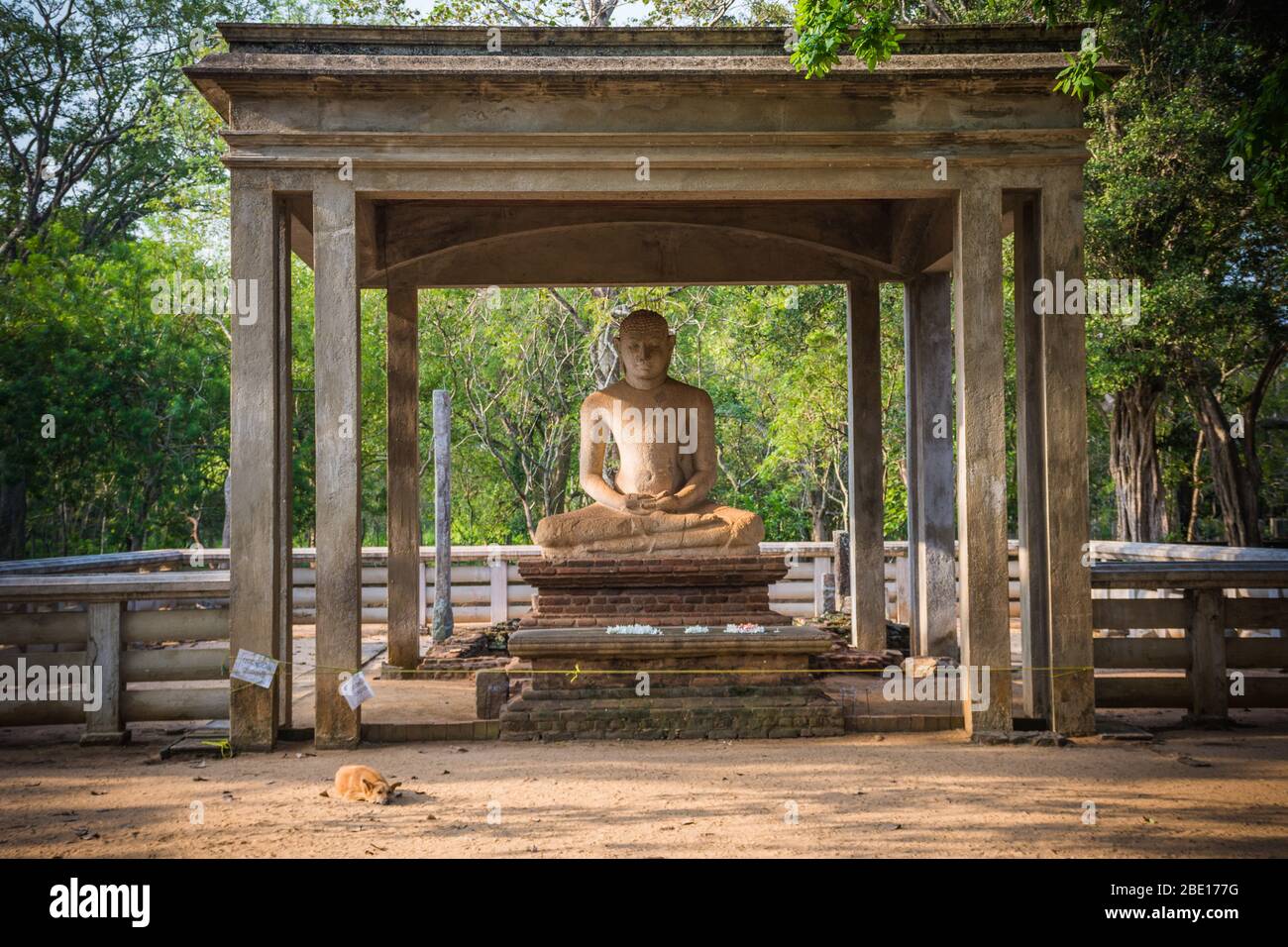 Die Samadhi Statue ist eine Statue, die am Mahamevnawa Park in Anuradhapura, Sri Lanka aufgestellt wird. Der Buddha ist in der Position des Dhyana Mudra dargestellt Stockfoto