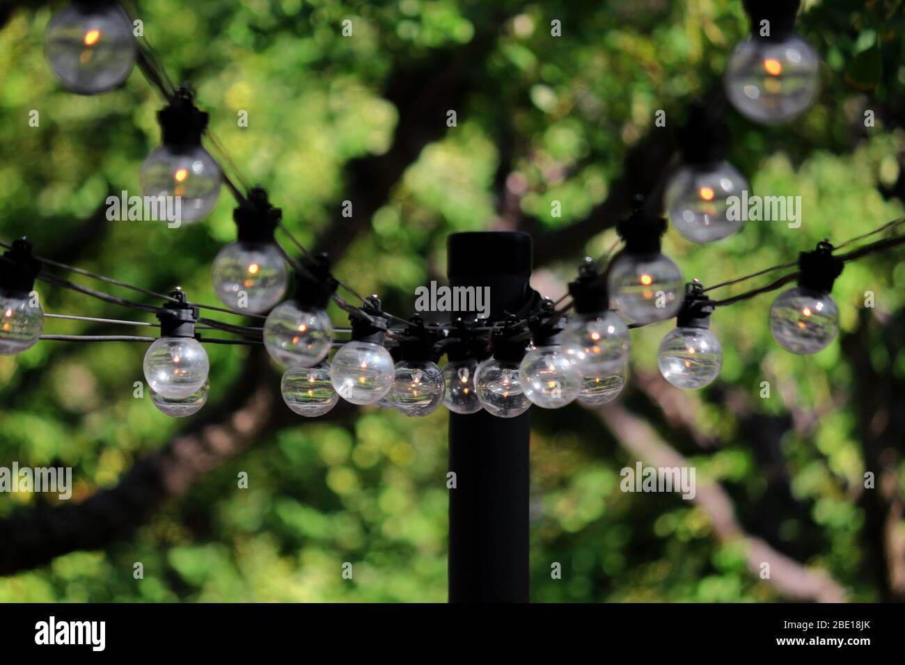 Vintage Glühbirnen hängen an Kabel für Festival im Park dekoriert Stockfoto