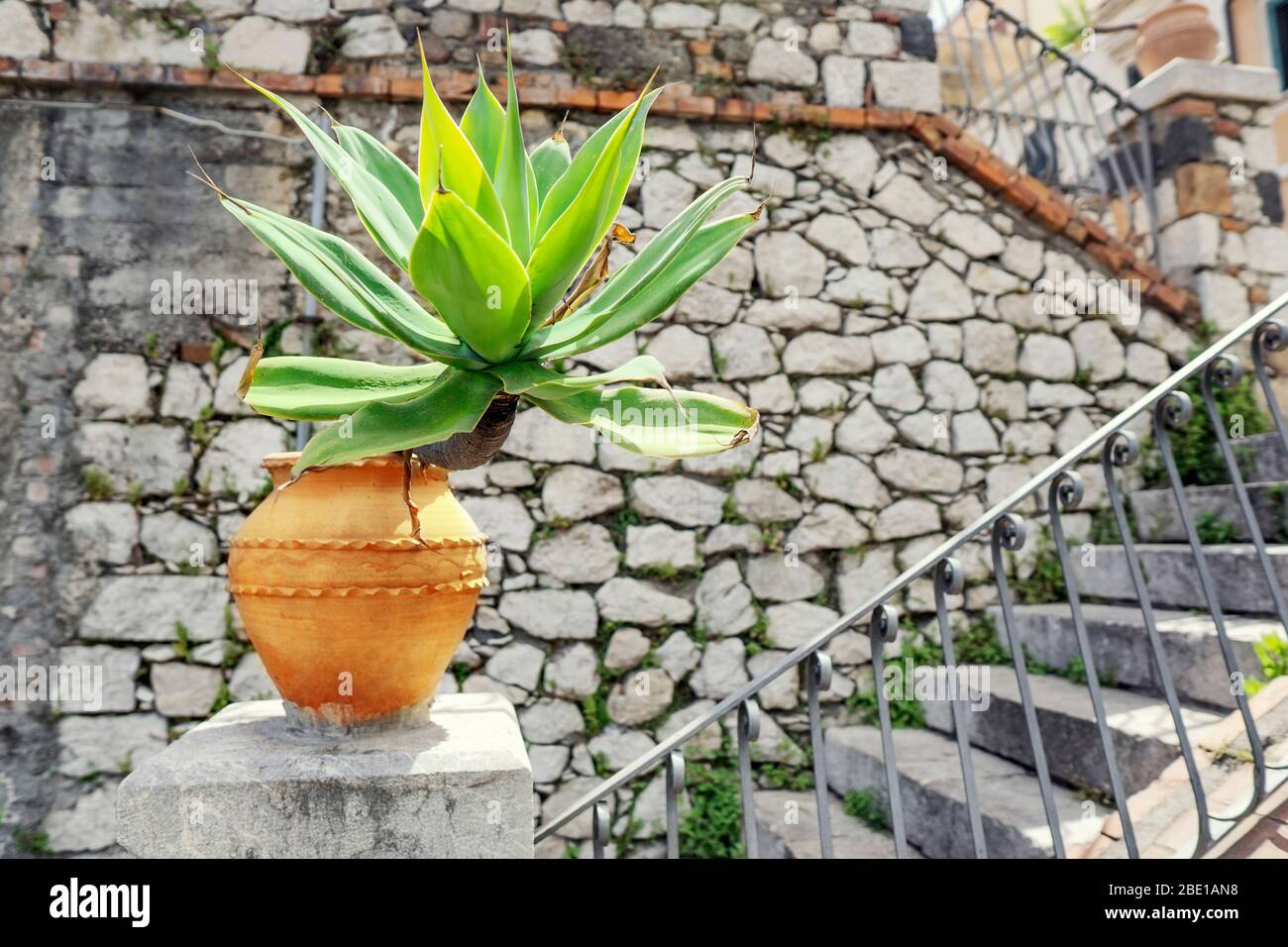 Agave Pflanze in einem Tontopf auf einem Sockel in der Nähe einer Treppe gegen eine alte Mauer aus Mauerwerk in Taormina, Sizilien Stockfoto