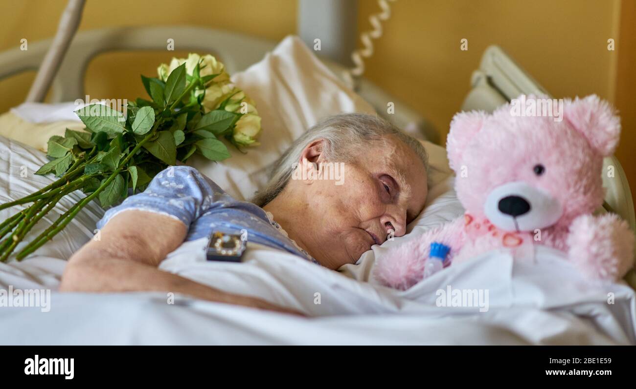 Eine alte Frau, die mit einem einäugigen Teddybär in einem Krankenhausbett schläft. Stockfoto