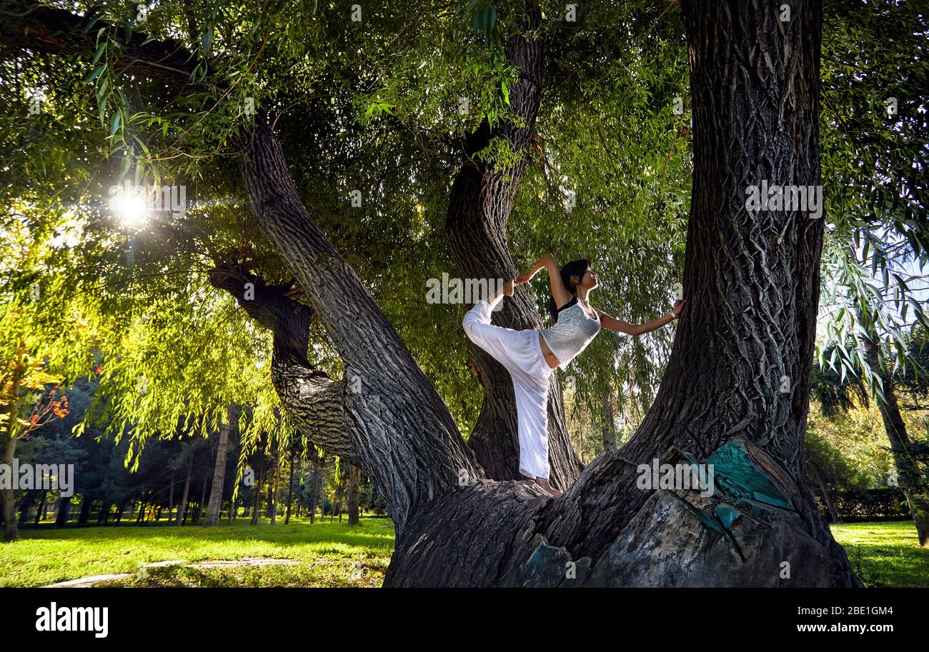 Schöne asiatische Mädchen im weißen Kostüm Yoga auf dem großen Baum im Park Stockfoto