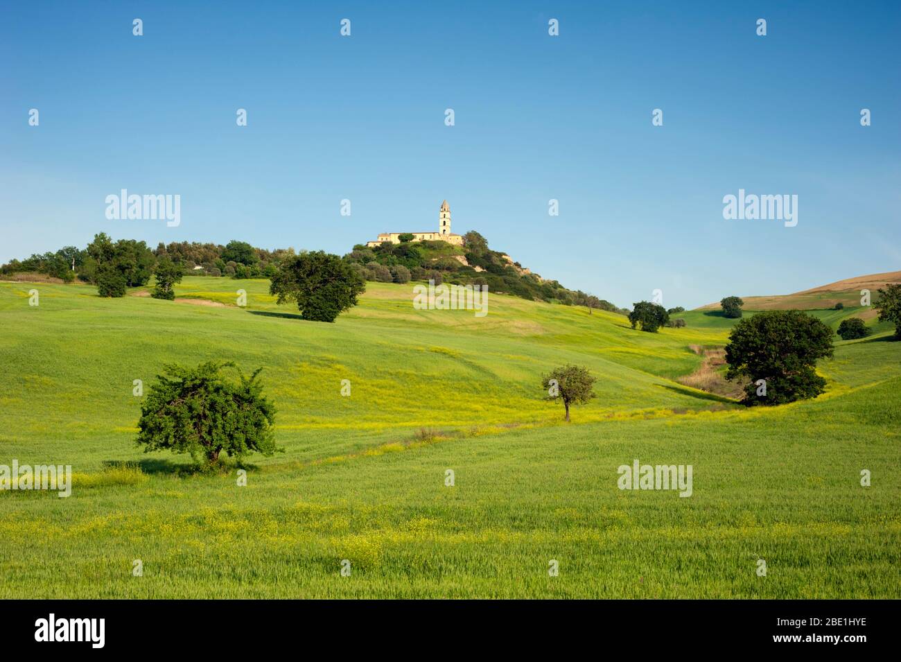 Italien, Basilikata, Sant'Arcangelo, Weizenfelder und Kloster Santa Maria di Orsoleo Stockfoto