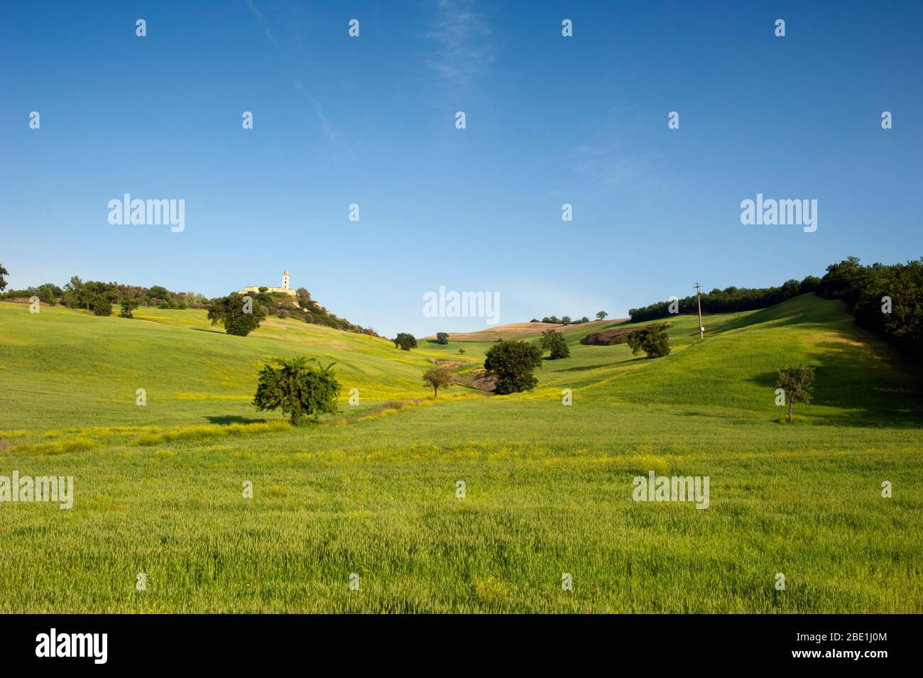 Italien, Basilikata, Sant'Arcangelo, Weizenfelder und Kloster Santa Maria di Orsoleo Stockfoto