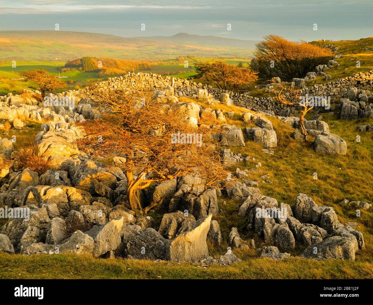 Gebrochener Kalksteinpflaster bei Newbiggin Crags auf Farleton Fell, Cumbria, mit Ingleborough in der Ferne Stockfoto
