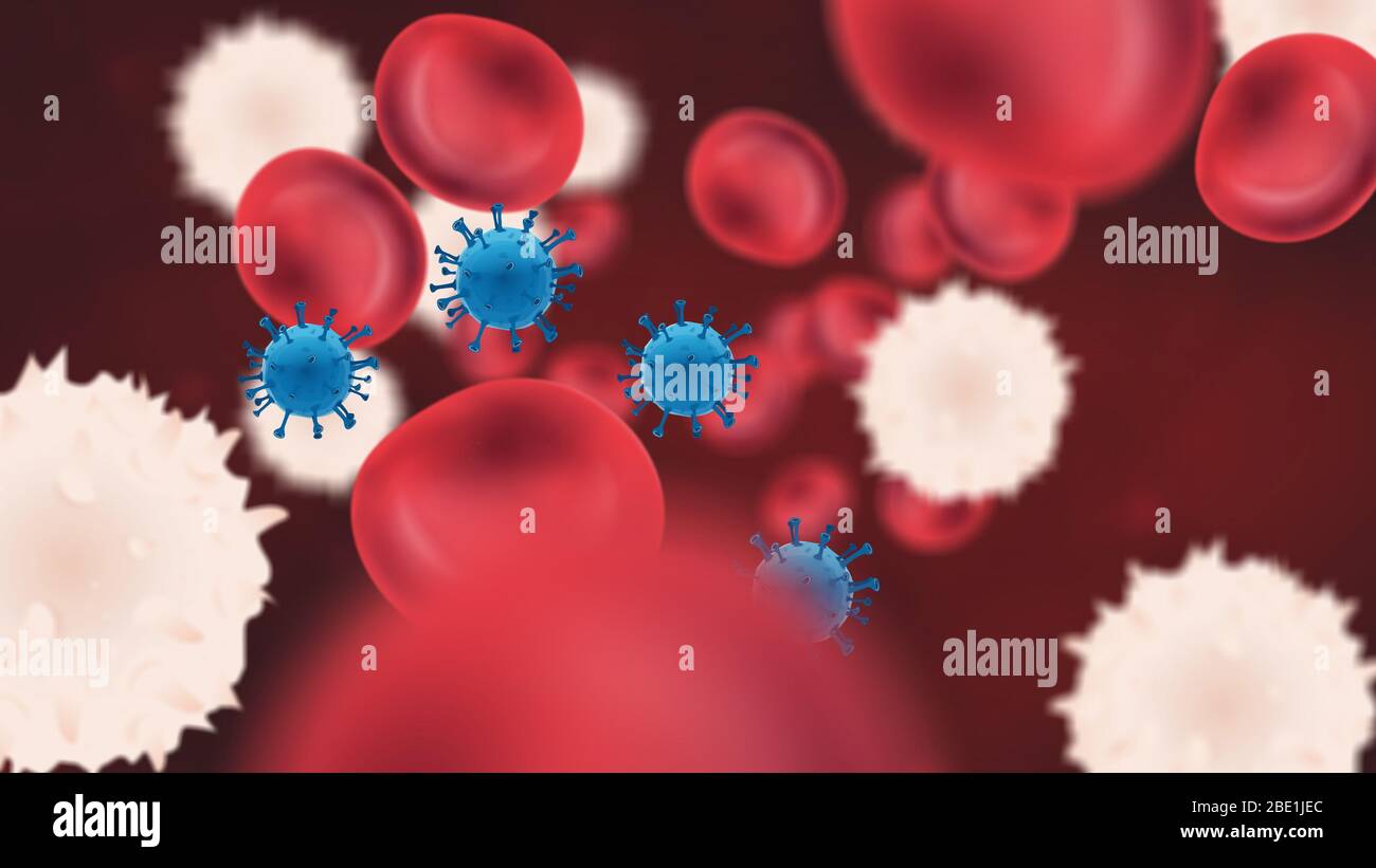 Viruspartikel im Blutkreislauf mit roten und weißen Blutkörperchen Stockfoto