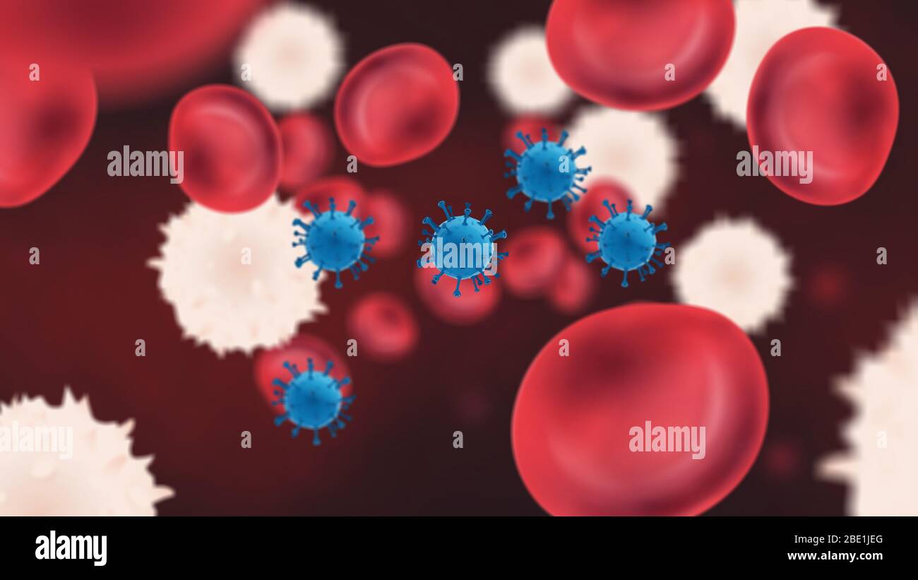 Viruspartikel im Blutkreislauf mit roten und weißen Blutkörperchen Stockfoto
