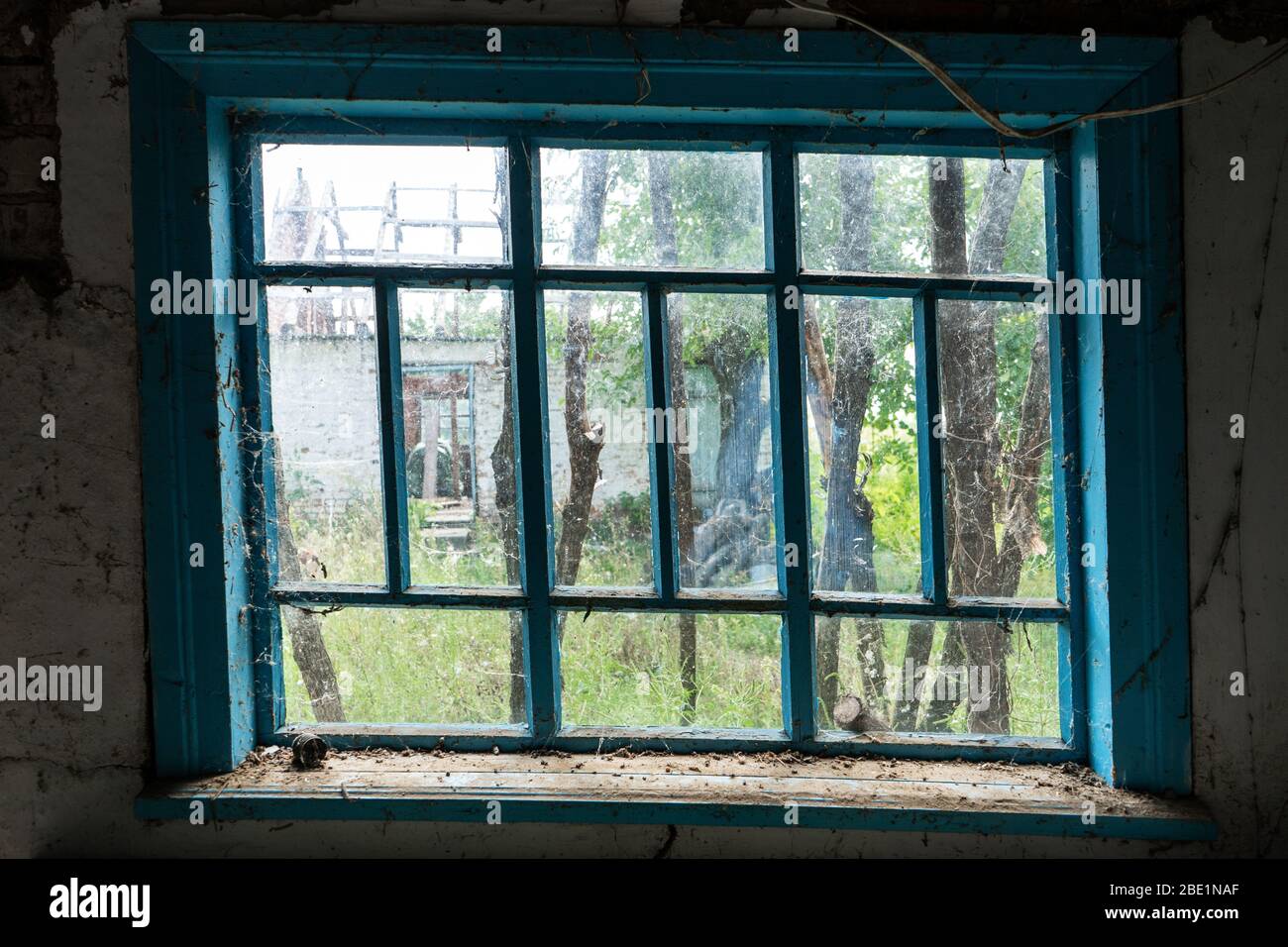 Blick von einem alten schmutzigen Fenster auf einen Garten mit Bäumen. Stockfoto