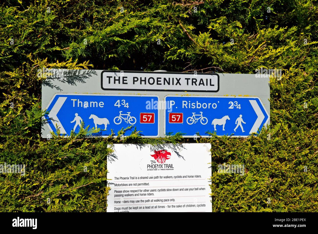 Melden Sie sich entlang des Phoenix Trail an, der von Princes Risborough in Buckinghamshire nach Thame in Oxfordshire, Großbritannien, führt. Chilterns. Stockfoto