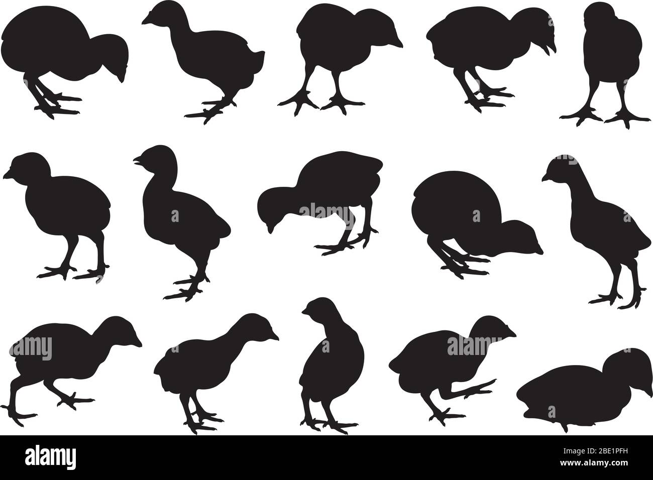 Set von verschiedenen putenküken isoliert auf weiß Stock Vektor