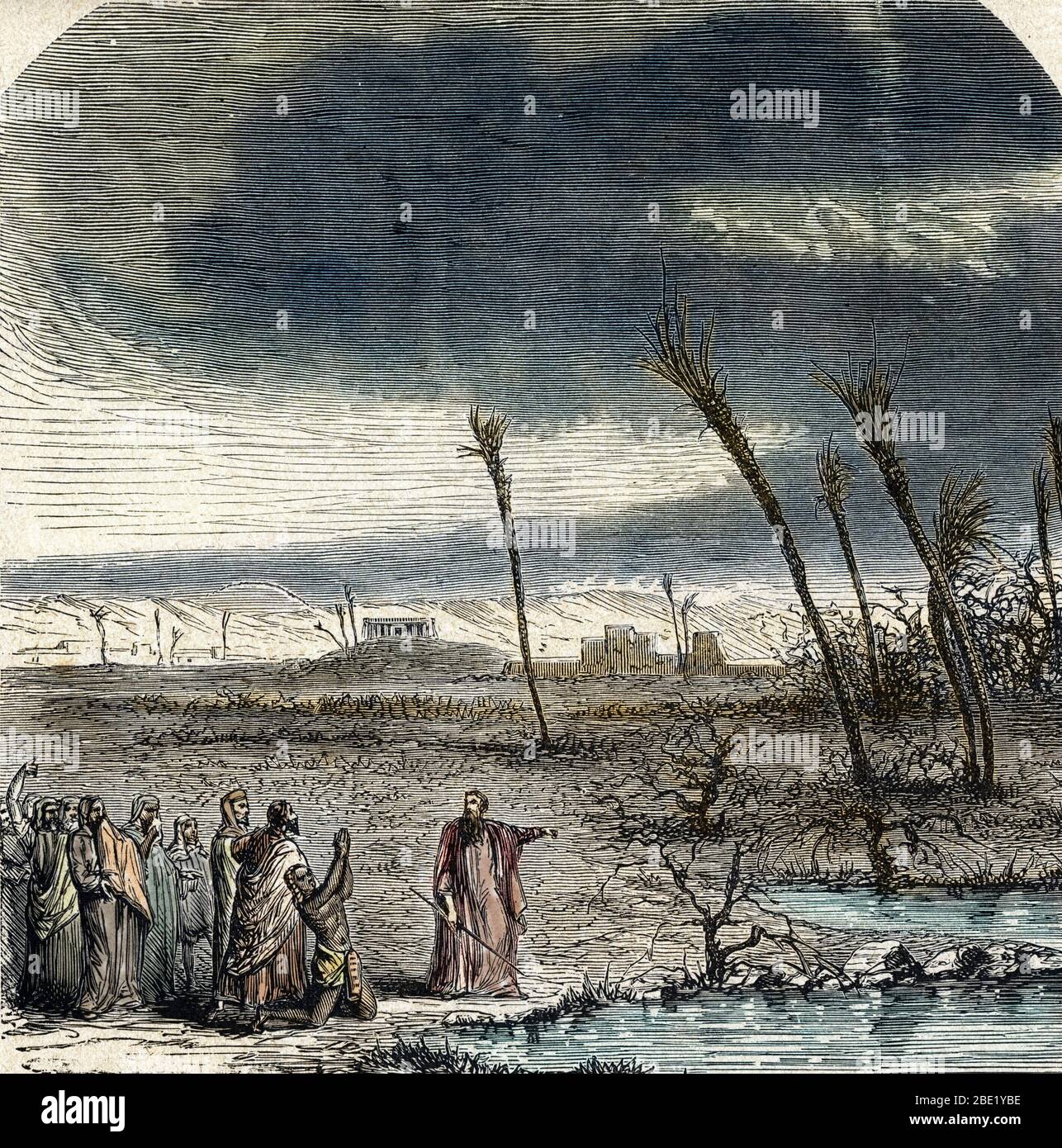 Scene de l'Ancien Testament : Les dix plaies d'Egypte - Moise et l'Invasion de Sauterelles (Heuschreckenplage) Gravur 19. Jahrhundert Private collecti Stockfoto