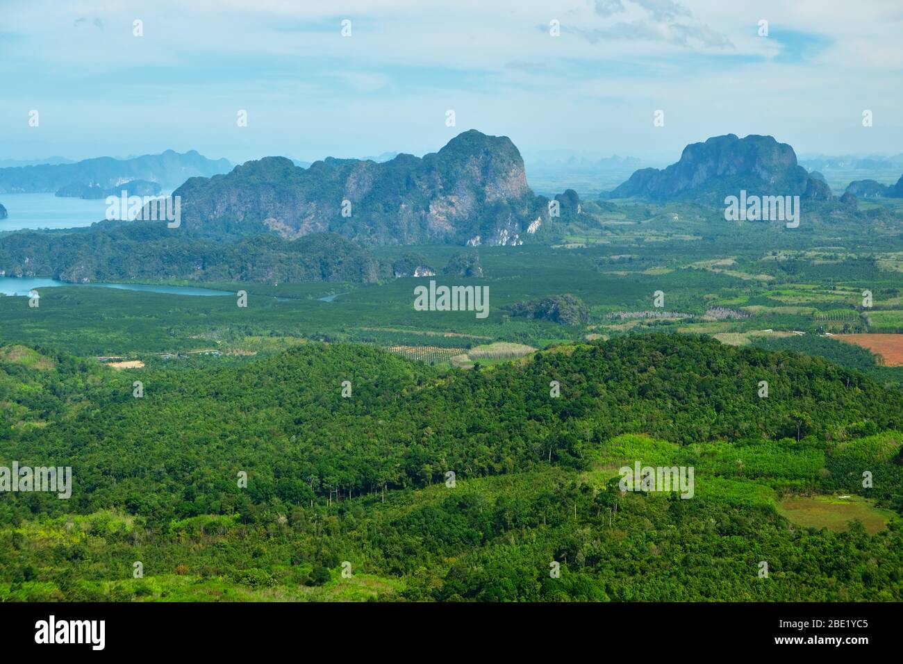 Faszinierende Dschungellandschaft am Drachenkamm / Khao Ngon nak Nationalpark bei Krabi, Thailand Stockfoto