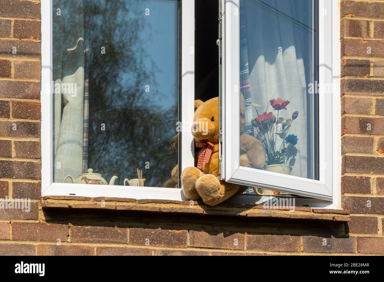 10. April 2020. Während der Aussperrung des Coronavirus Covid-19 im Jahr 2020 entwickeln Gemeinden Ideen, um Kinder zu unterhalten. Eine Idee ist, Teddybären in Fenster von Häusern zu stecken, und Eltern können ihre Kinder auf Bärenjagden in ihrer Nachbarschaft mitnehmen. Dieses Haus hat einen Teddybär in einem offenen Fenster im Obergeschoss. Stockfoto