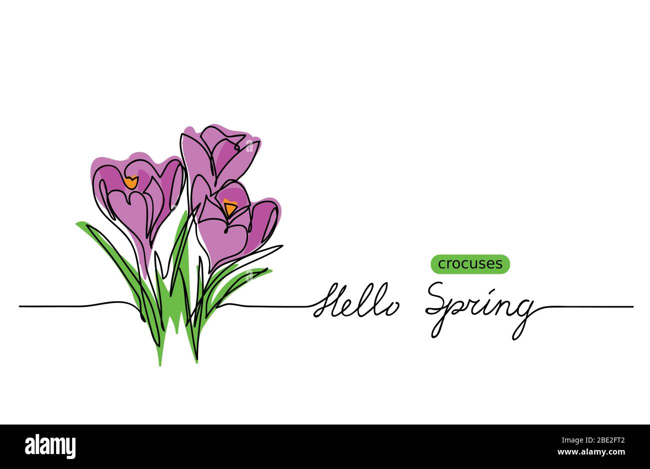 Crocuses Blüte Vektor Skizze, Doodle. Hello Spring Schriftzug. Crocuses Web Banner, Illustration, Rand, Karte, Hintergrund. Stock Vektor