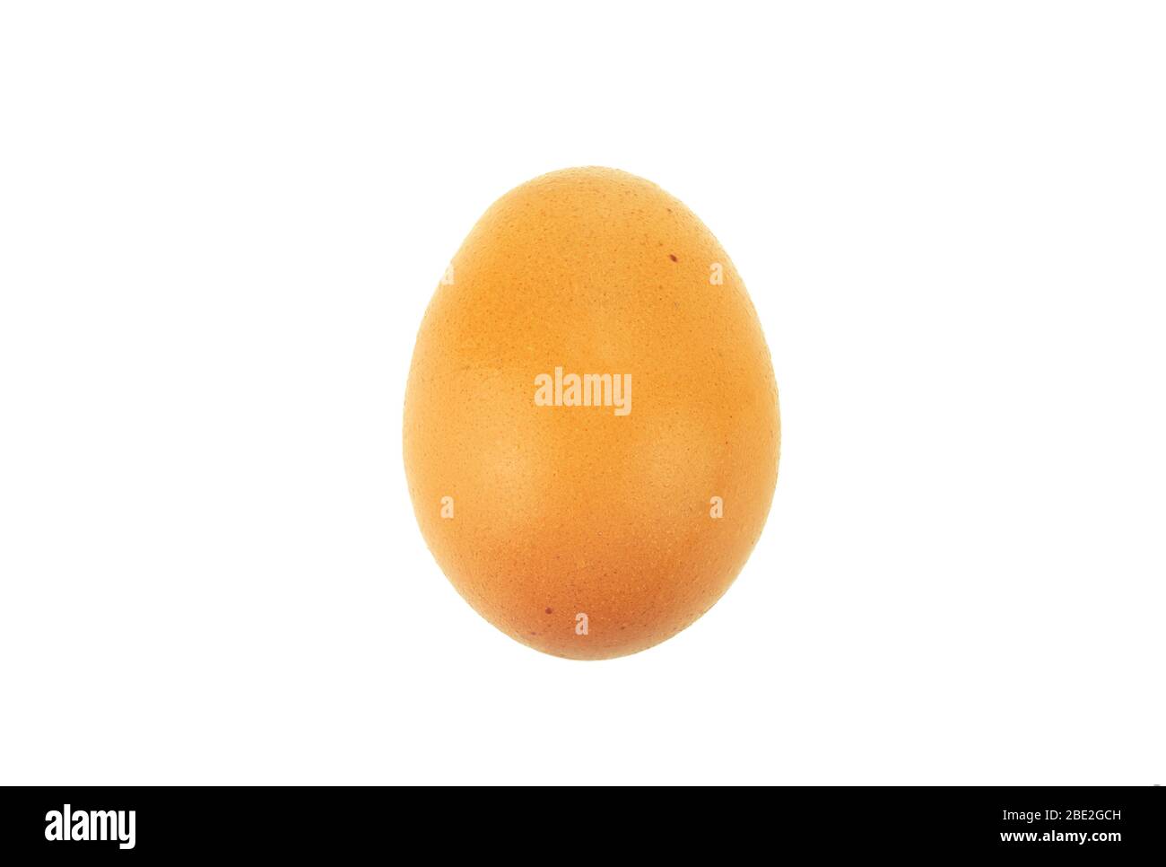 Huhn Braunes Ei auf weißem Hintergrund isoliert Stockfoto