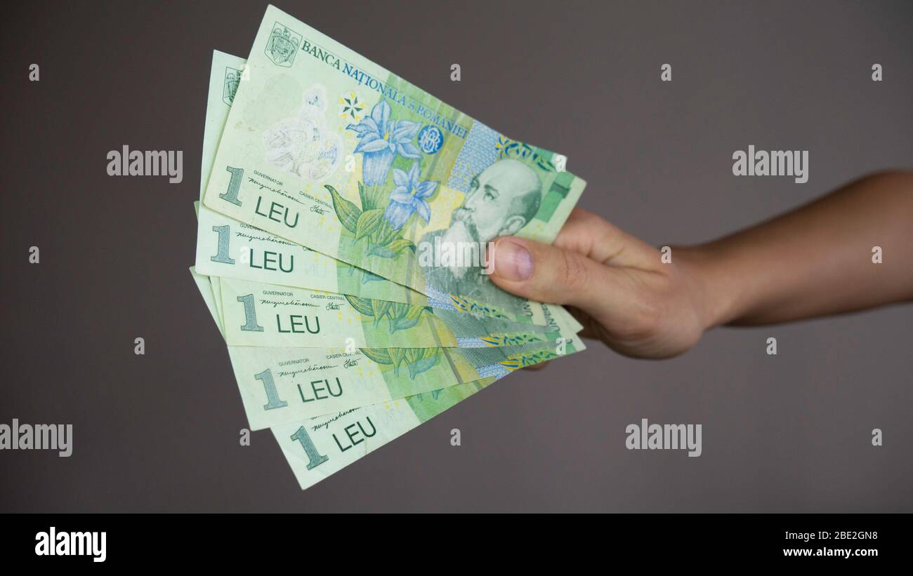 Fünf Wechsel von einem rumänischen Leu Banknote in der Hand. Stockfoto