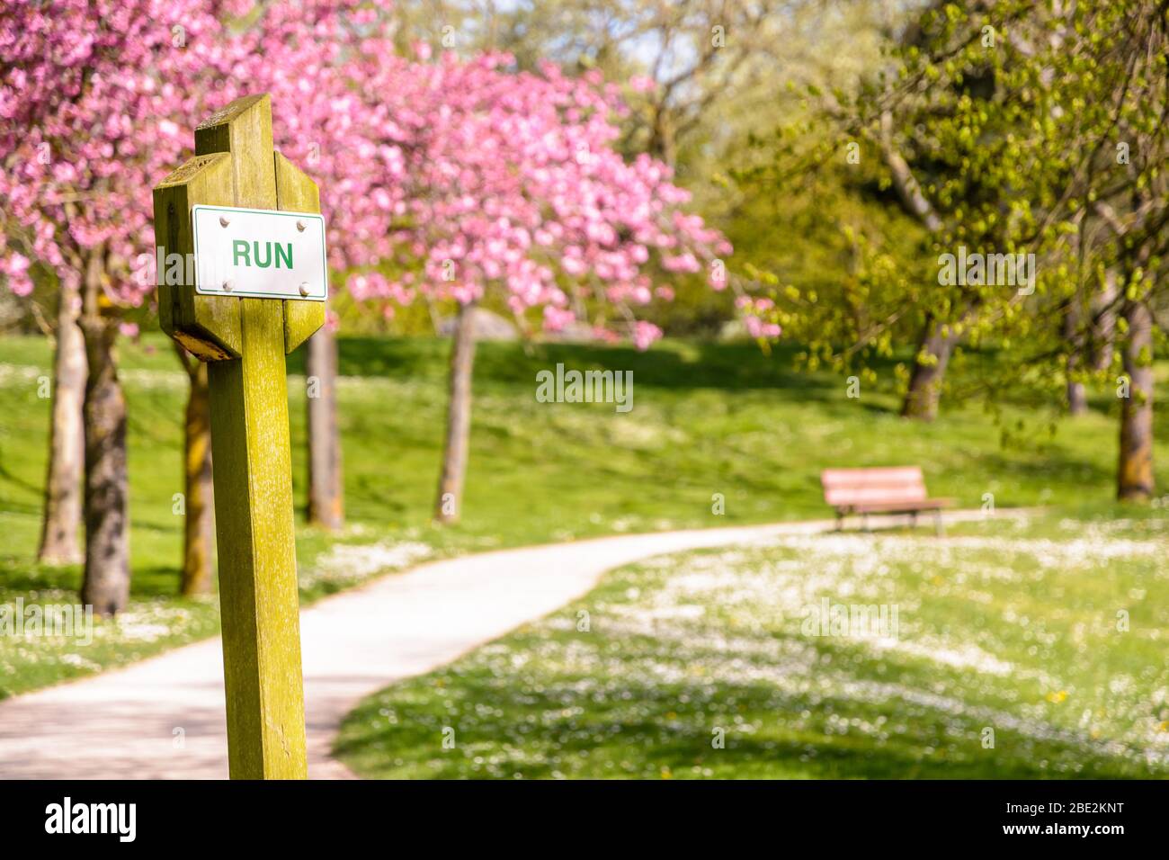 Ein Schild auf einem Holzpfosten mit der Aufschrift "Run" auf einem Fitness-Trail an einem sonnigen Frühlingstag in einem öffentlichen Park mit blühenden Kirschbäumen entlang eines Feldwegs. Stockfoto