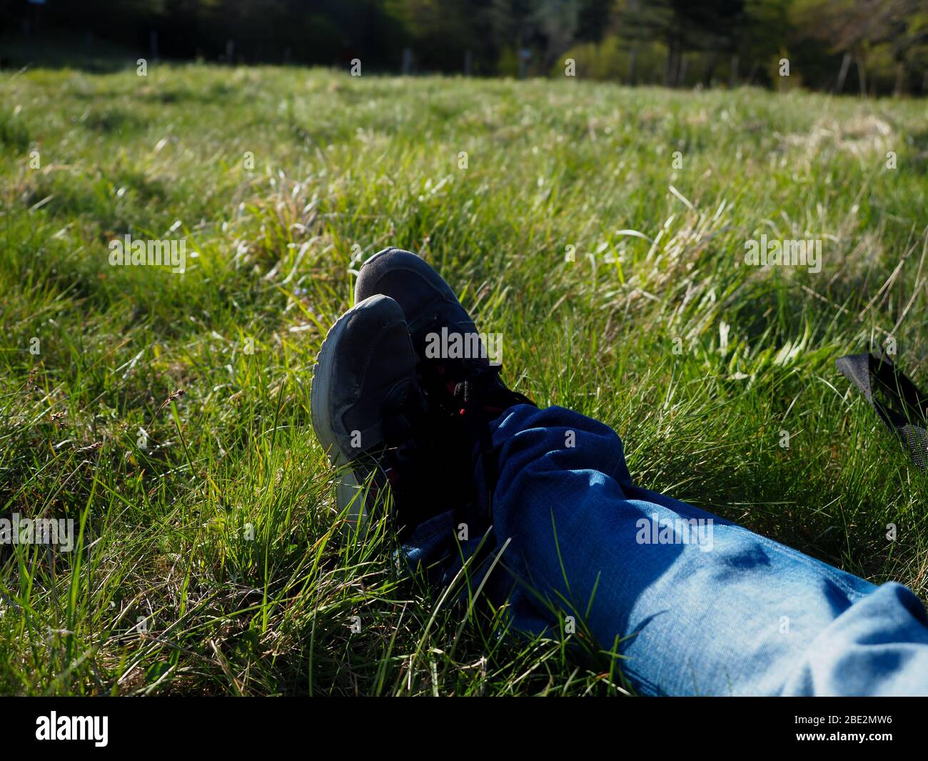 Schliesset ein Paar Schuhe in einem grünen Feld Stockfoto