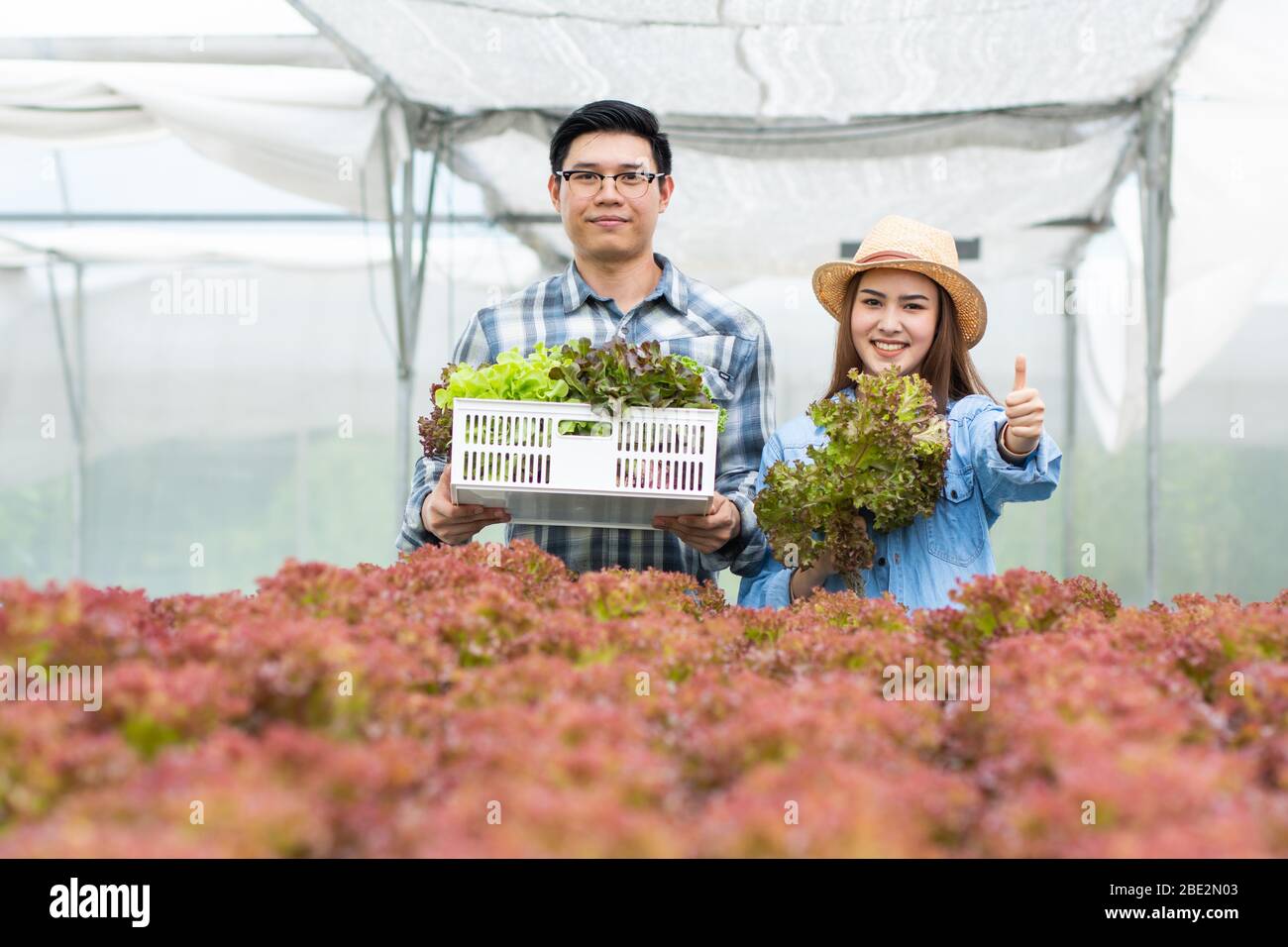 Bauer Mann und Frau halten hydroponic in Bauernhof Stockfoto