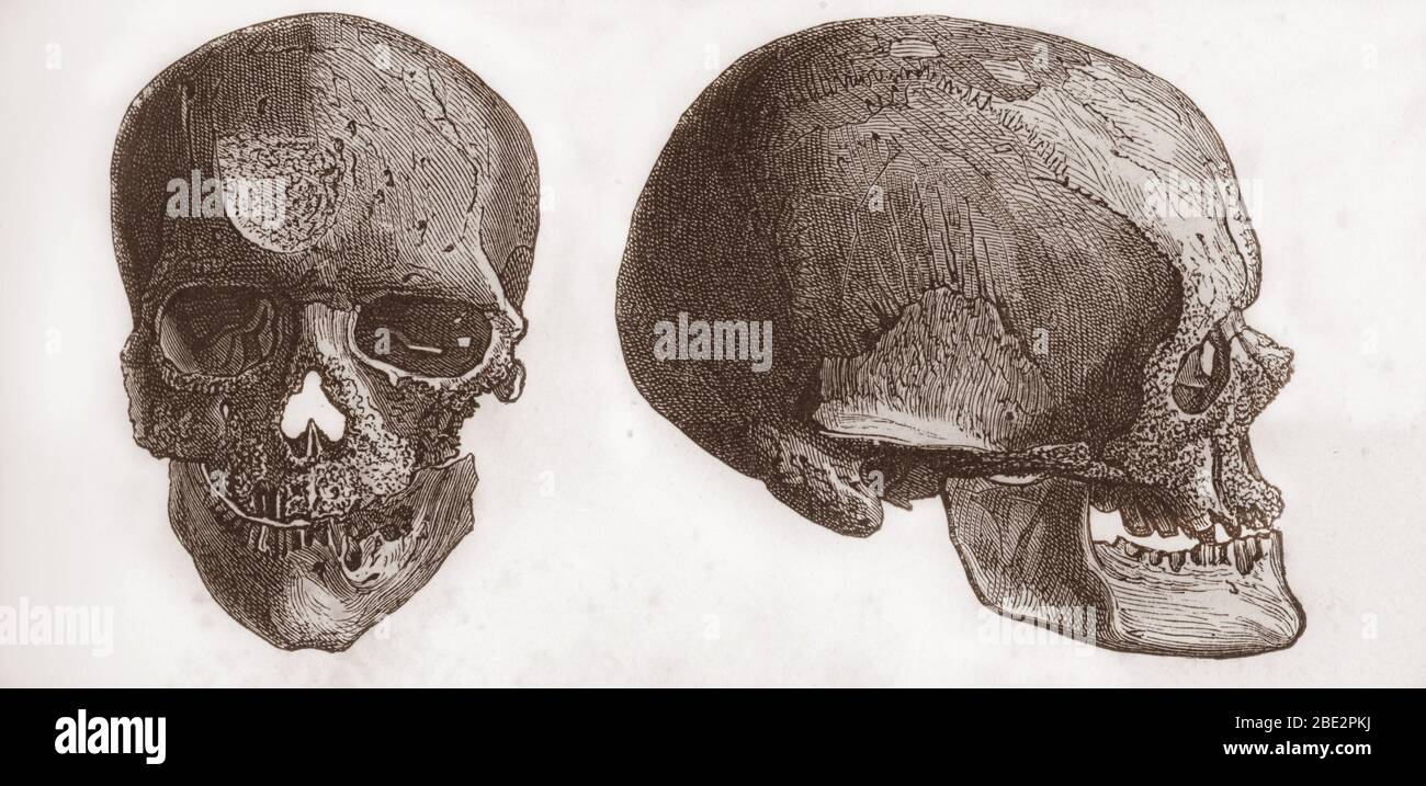 Prahistoire Crane De L Homme De Cro Magnon Epoque Du Grand Ours Vorgeschichte Schadel Eines Cro Magnon Mannlichen Europaischen Altsteinzeit Gravur 19t Stockfotografie Alamy