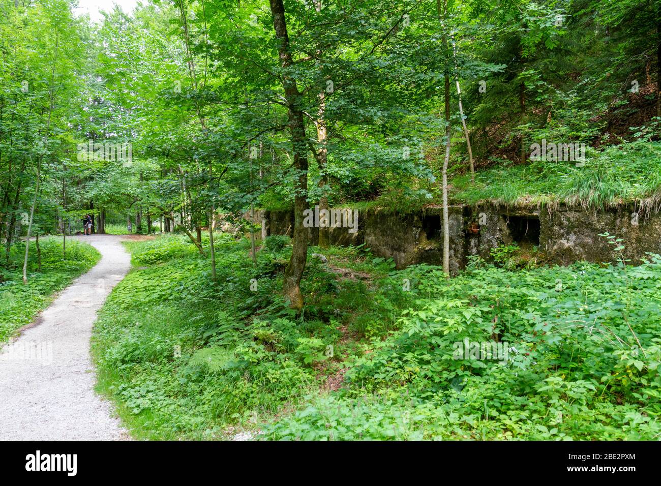 Ruinen von Adolf Hitlers Haus, dem Berghof, im Obersalzberg, bayrische Alpen bei Berchtesgaden, Bayern, Deutschland. Stockfoto