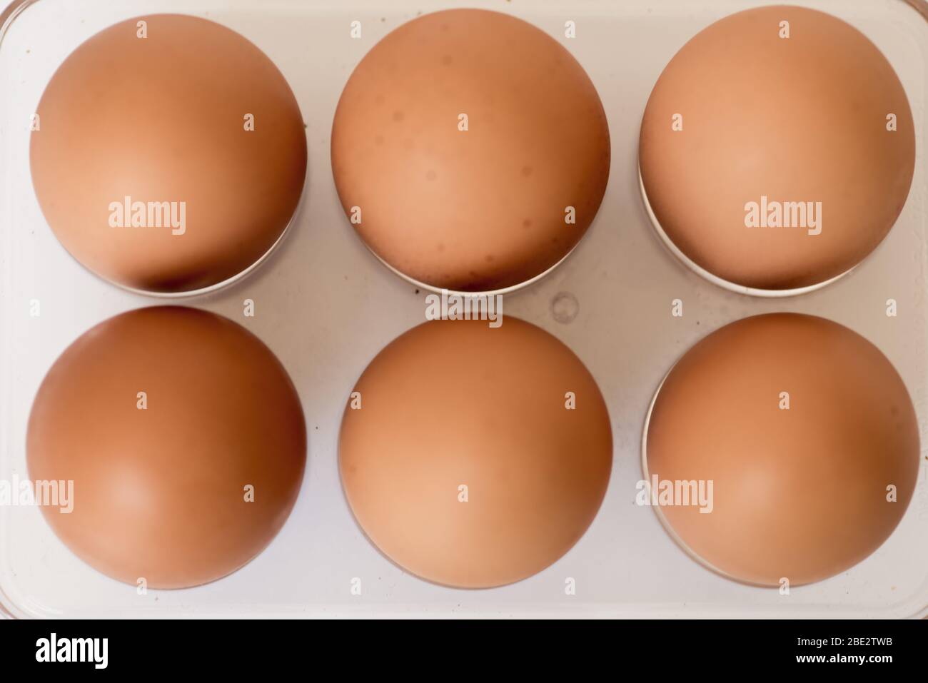 Eier in einem Tablett ohne Markierung isoliert Stockfoto