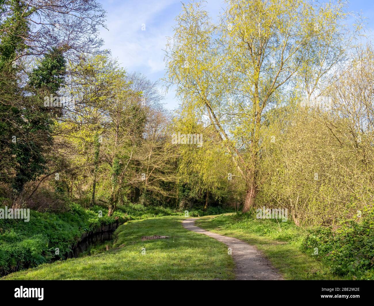 BIDEFORD, NORTH DEVON, ENGLAND - APRIL7 2020: Blick auf Kenwith Valley lokalen Naturschutzgebiet, LNR, und Gemeinschaftspark im Frühjahr. Ruhig auf diesem schönen Stockfoto