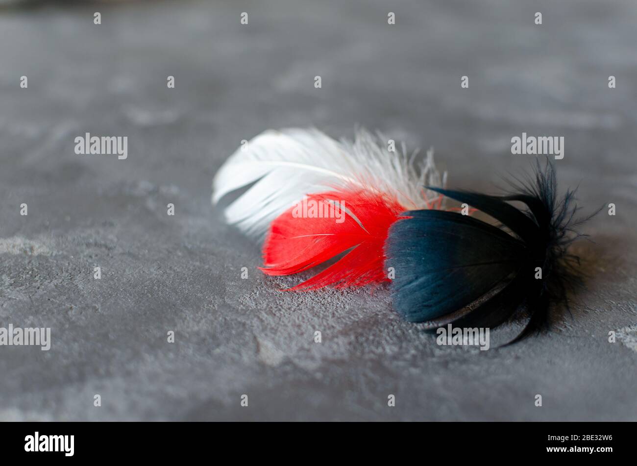 Schwarze, rote, weiße Federn auf grauem Betongrund. Schwarz Rot Weiß und Grau Kombination. Selektiver Fokus. Platz für Text. Stockfoto