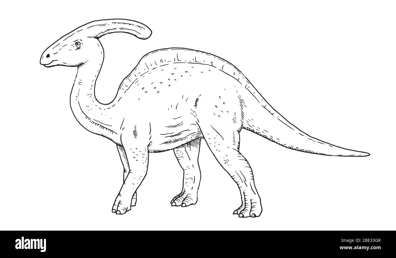 Zeichnung von Dinosaurier - Handskizze von parasaurolophus, schwarz-weiß-Illustration Stock Vektor