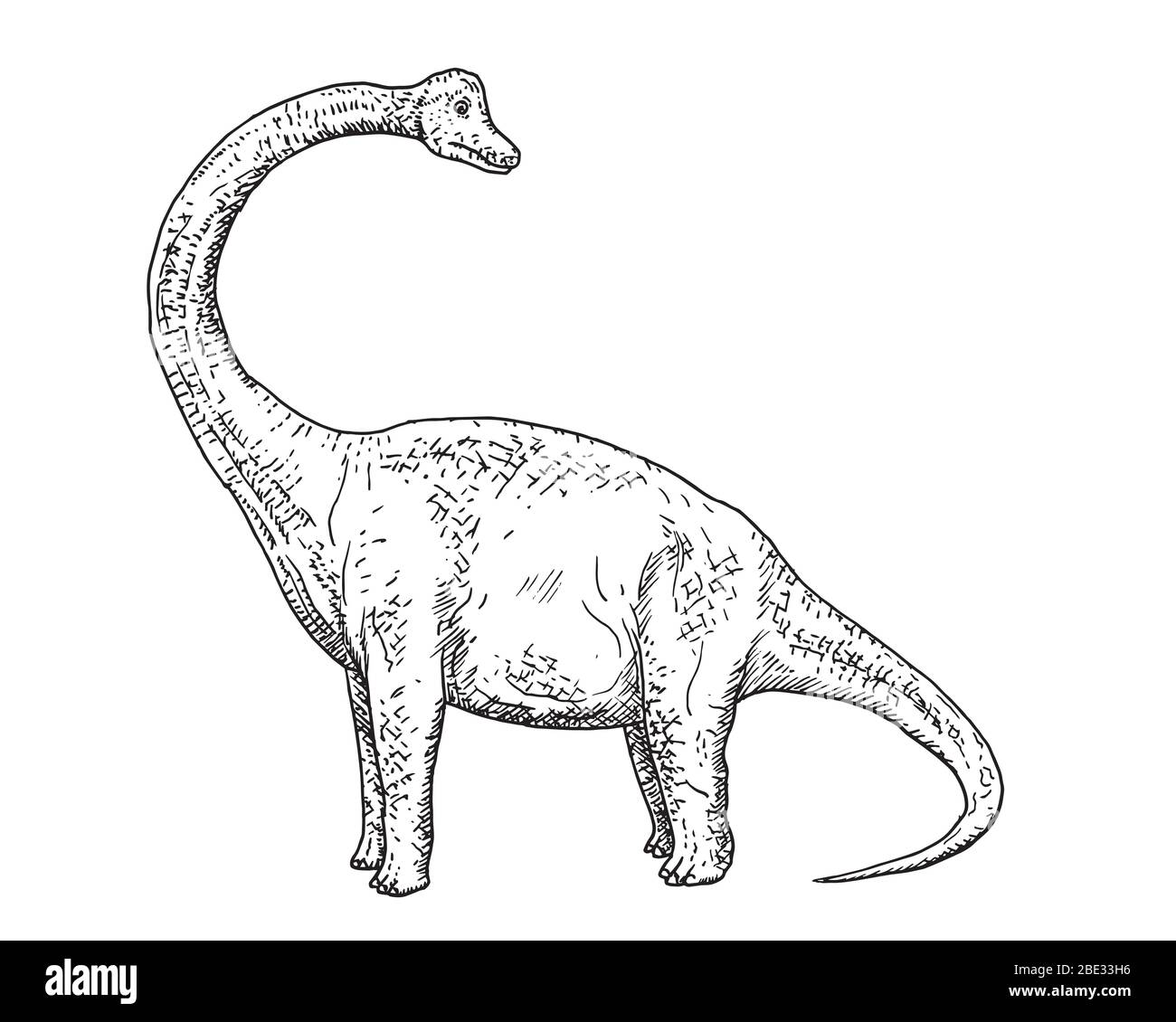 Zeichnung Sauropoda Dinosaurier - Handskizze von brahiosaurus, schwarz-weiß Illustration Stock Vektor