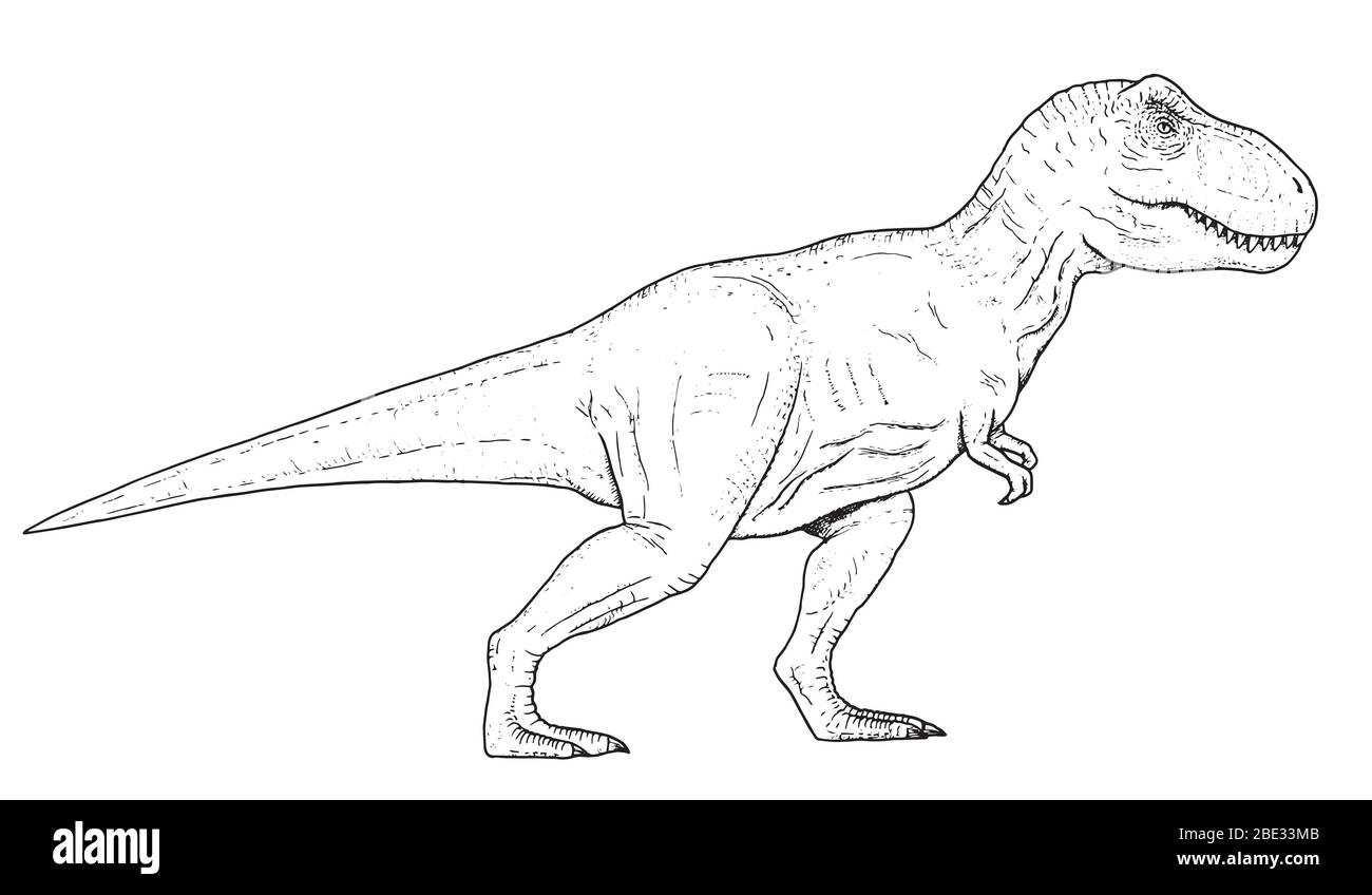 Zeichnung der Dinosaurier Handskizze der Tyrannosaurus Rex, schwarze und weiße Abbildung Stock Vektor