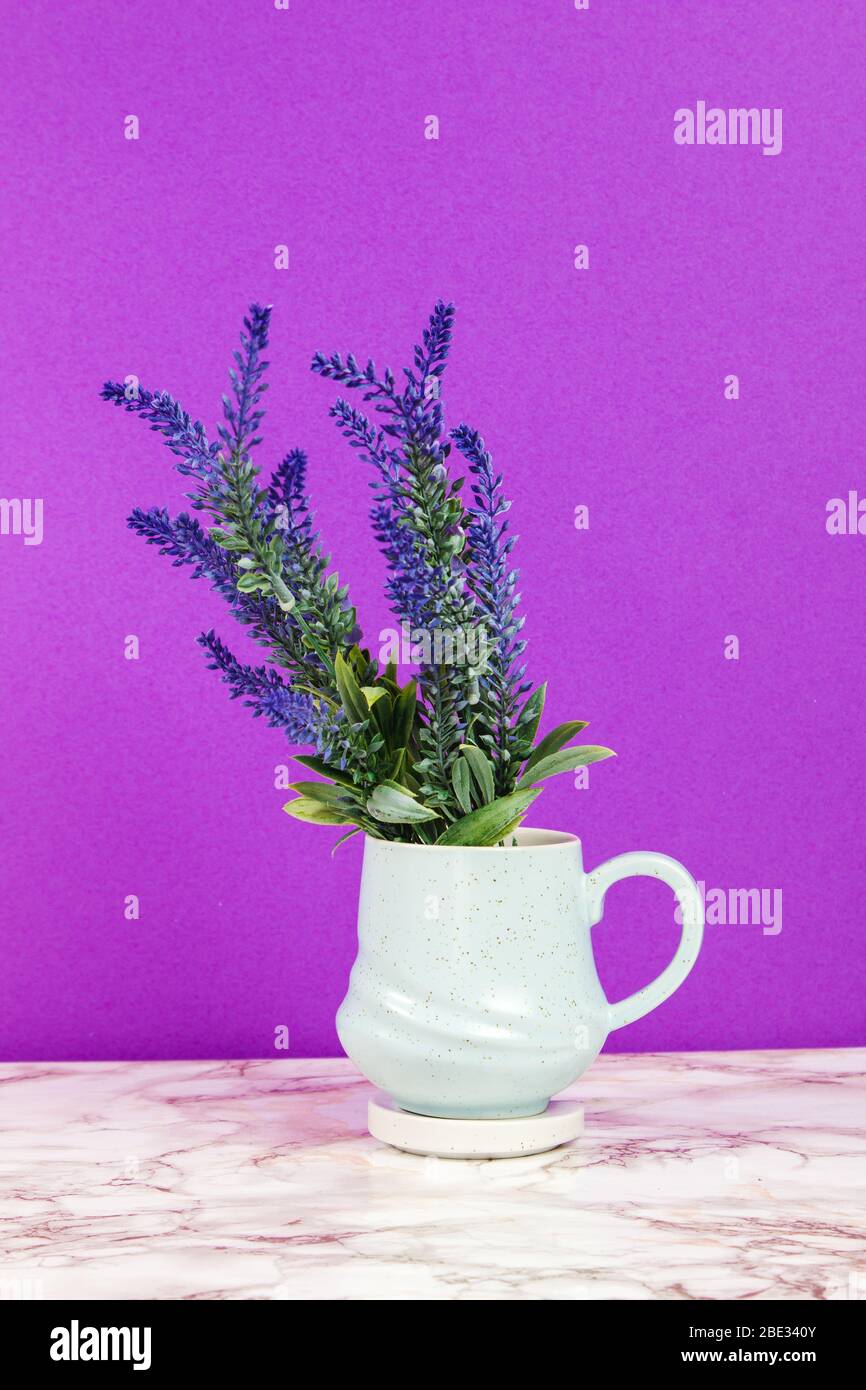 Lavendelblüten in einer Tasse auf einem Marmortisch und lila Hintergrund Stockfoto