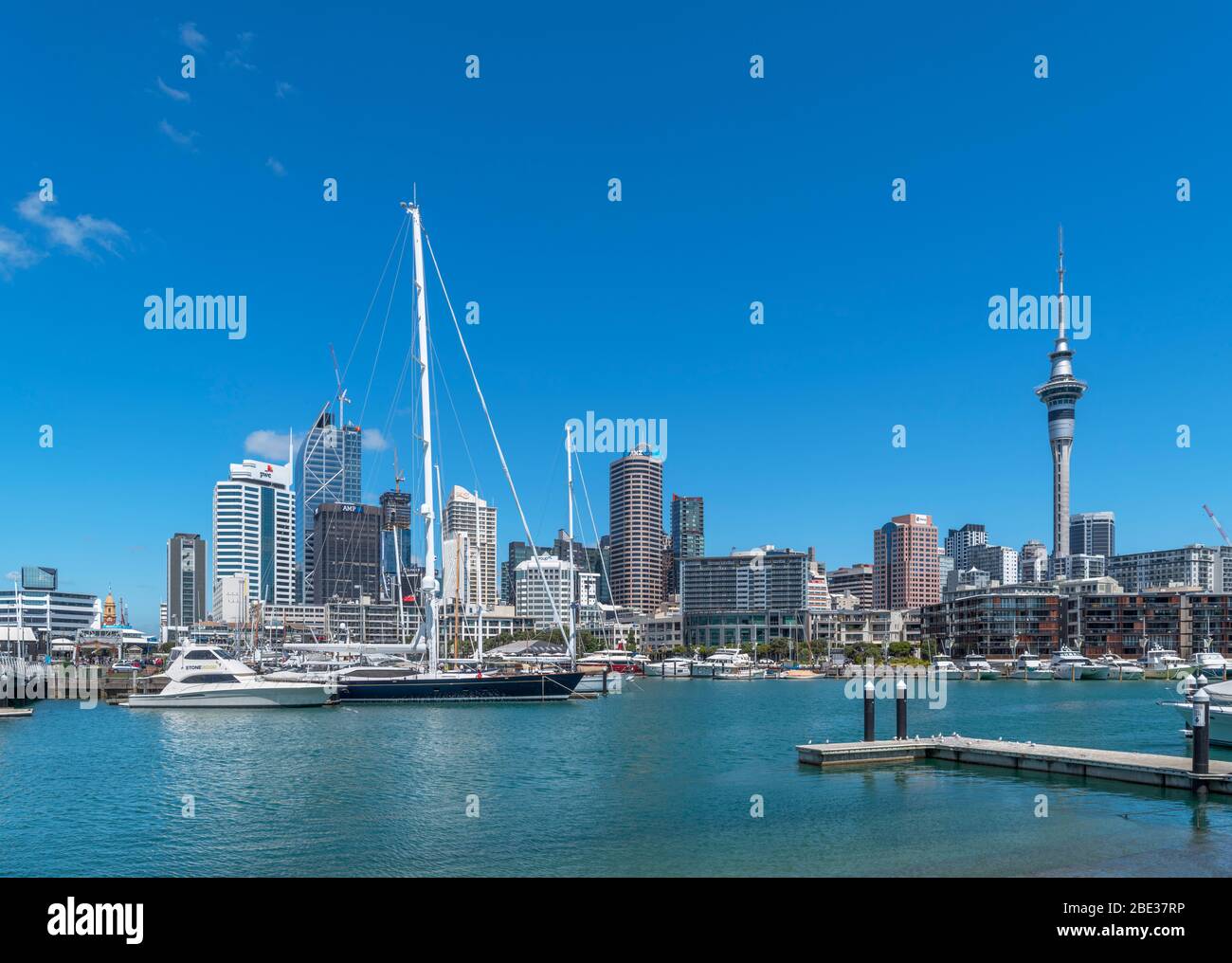 Skyline des Central Business District vom Wynard Quarter, Viaduct Harbour, Auckland, Neuseeland Stockfoto