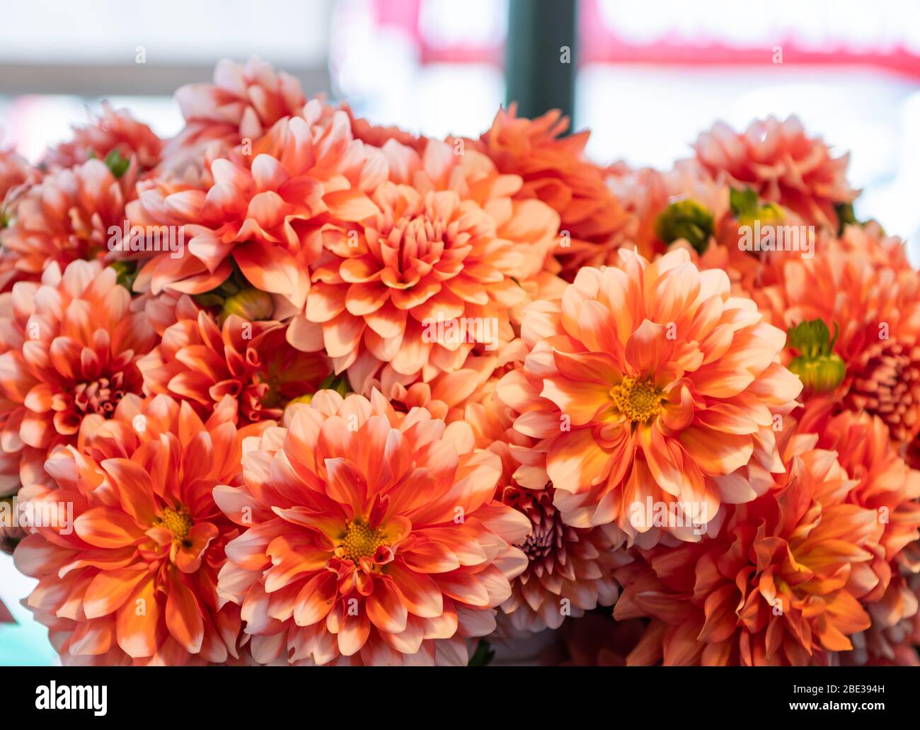 Blumensträusse in Pikes Platz Outdoor-Markt Stockfoto