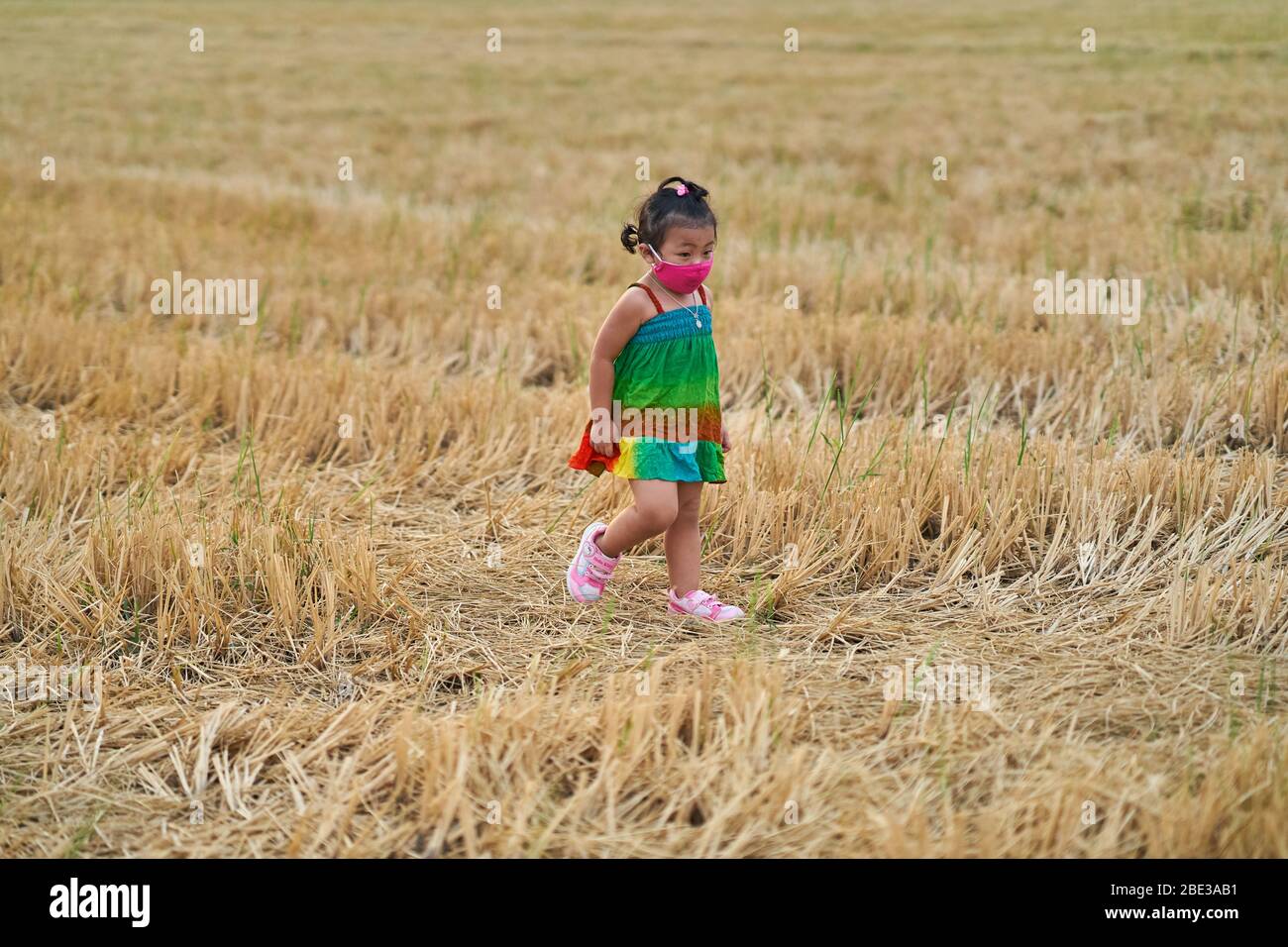 Ein niedliches Kind auf einem Feld, das eine schützende Gesichtsmaske trägt. Stockfoto