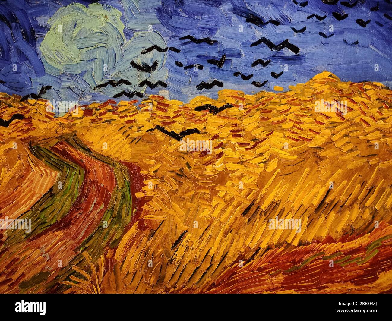 Lissabon, Portugal, 28. Februar 2020. Erste Ausstellung in Portugal durch das Van Gogh Museum - eine einzigartige und multisensorische Reise durch das Leben von Van Gogh. Stockfoto