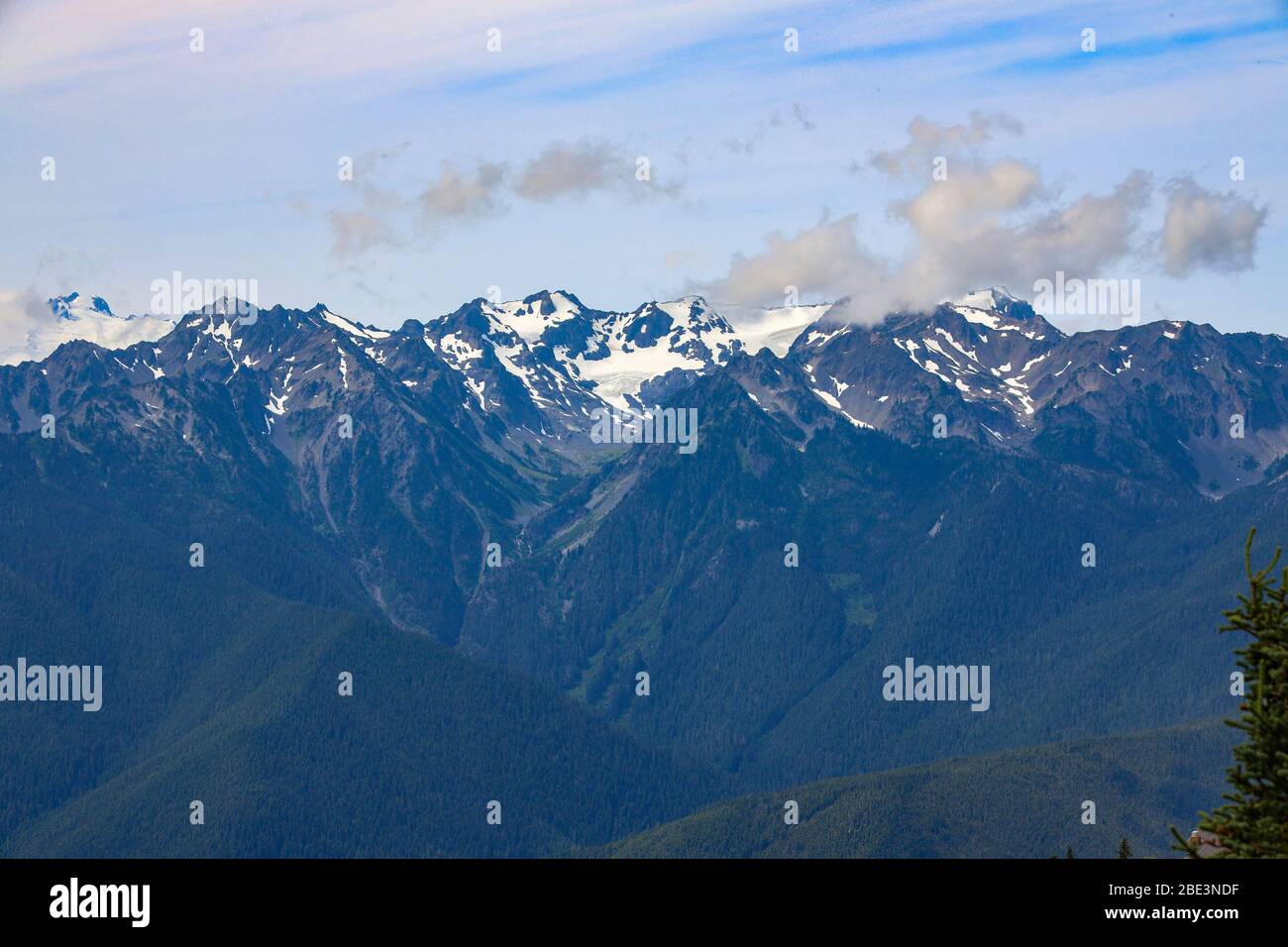 Landschaftlich schöne Aussicht auf die Olympic Mountains vom Wanderweg auf Hurricane Ridge Stockfoto