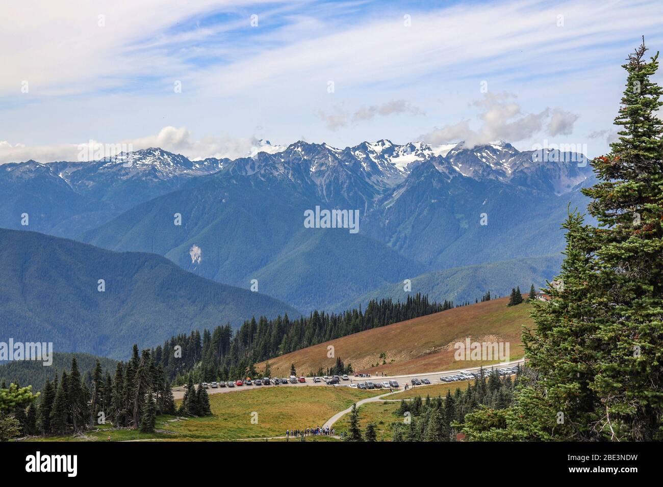 Landschaftlich schöne Aussicht auf die Olympic Mountains vom Wanderweg auf Hurricane Ridge Stockfoto