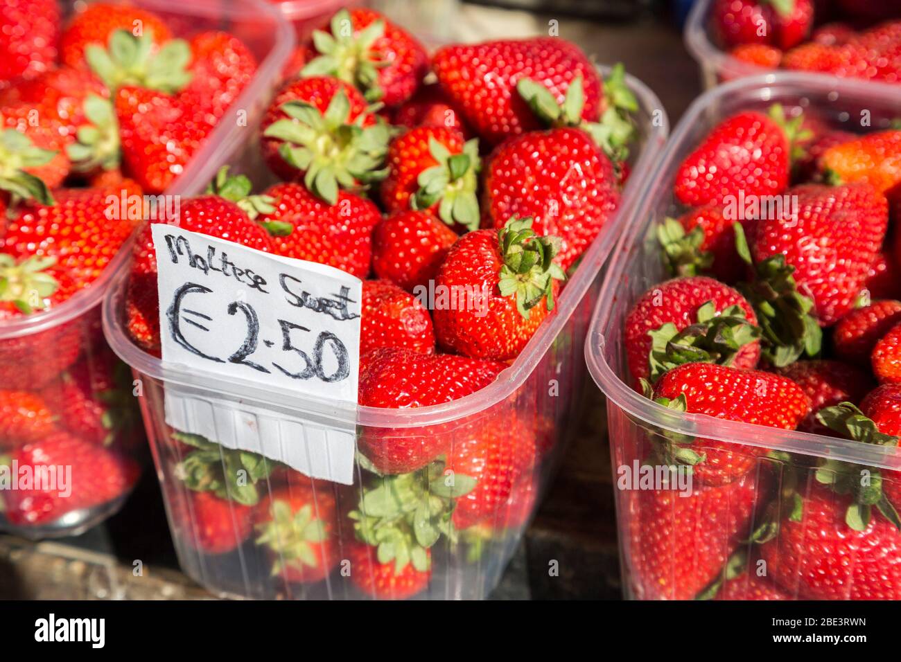 Maltesische Erdbeeren mit Preis in Euro pro Punnet, Malta Stockfoto