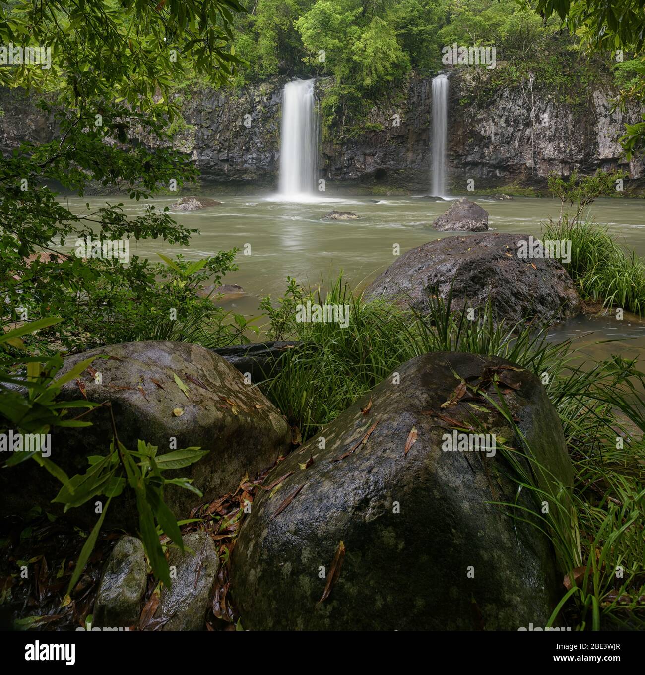 Ein vertikales Panorama des üppigen tropischen Regenwaldes und der Zwillingsfälle im Tully Gorge National Park in Queensland, Australien. Stockfoto