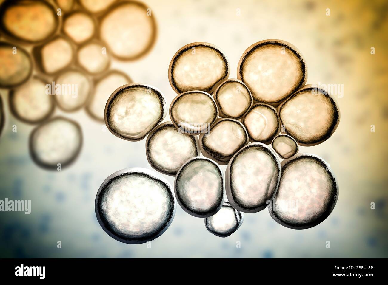 Ureaplasma urealyticum Bakterien, Computer-Illustration. U. Urealyticum sind kleine polymorphe Bakterien ohne Zellwand. Sie können sexuell übertragbare Urethritis und bakterielle Vaginose verursachen und sind auch mit Unfruchtbarkeit verbunden. Stockfoto
