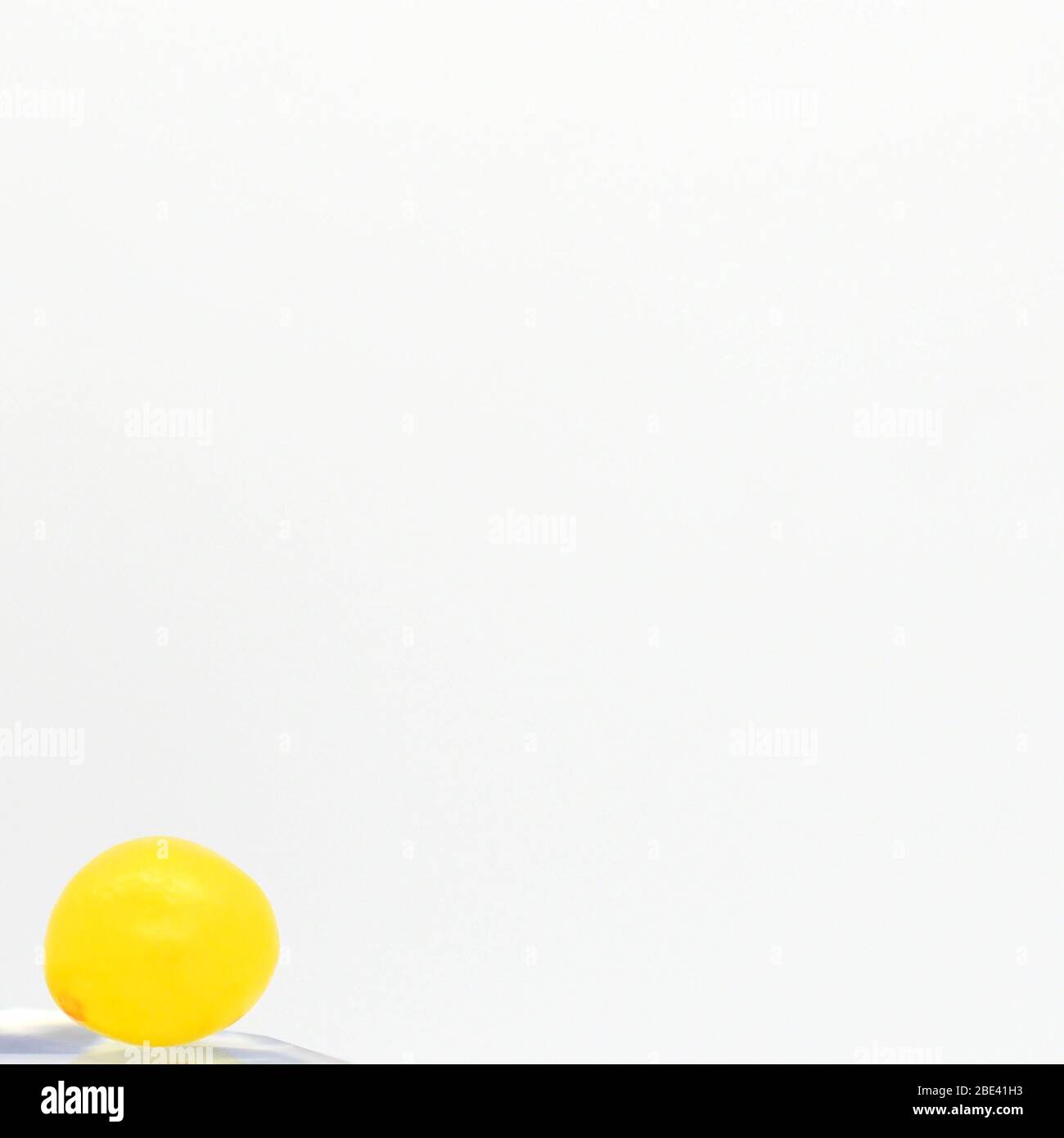 April 2020, Nahaufnahme EINER kleinen runden gelben Süßigkeit auf weißem Hintergrund, London, England. Stockfoto