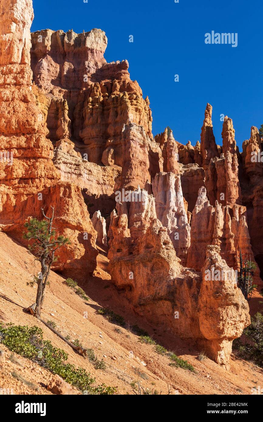 Dramatische Landschaft im Bryce Canyon Nationalpark Stockfoto