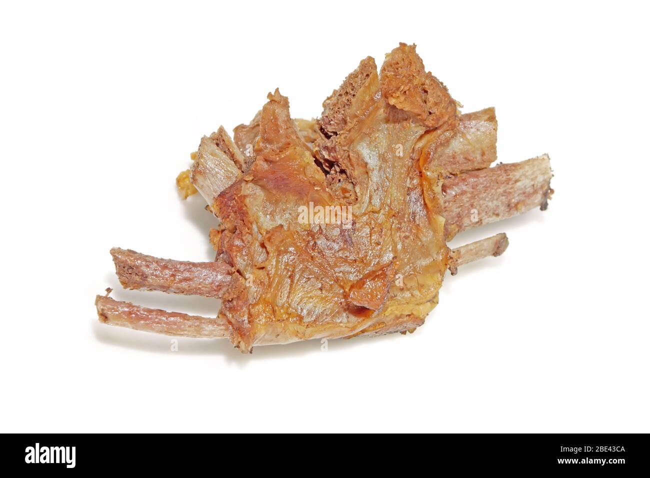 Nahaufnahme von Schweinebrippen, Fleischsnacks auf weißem Hintergrund Stockfoto