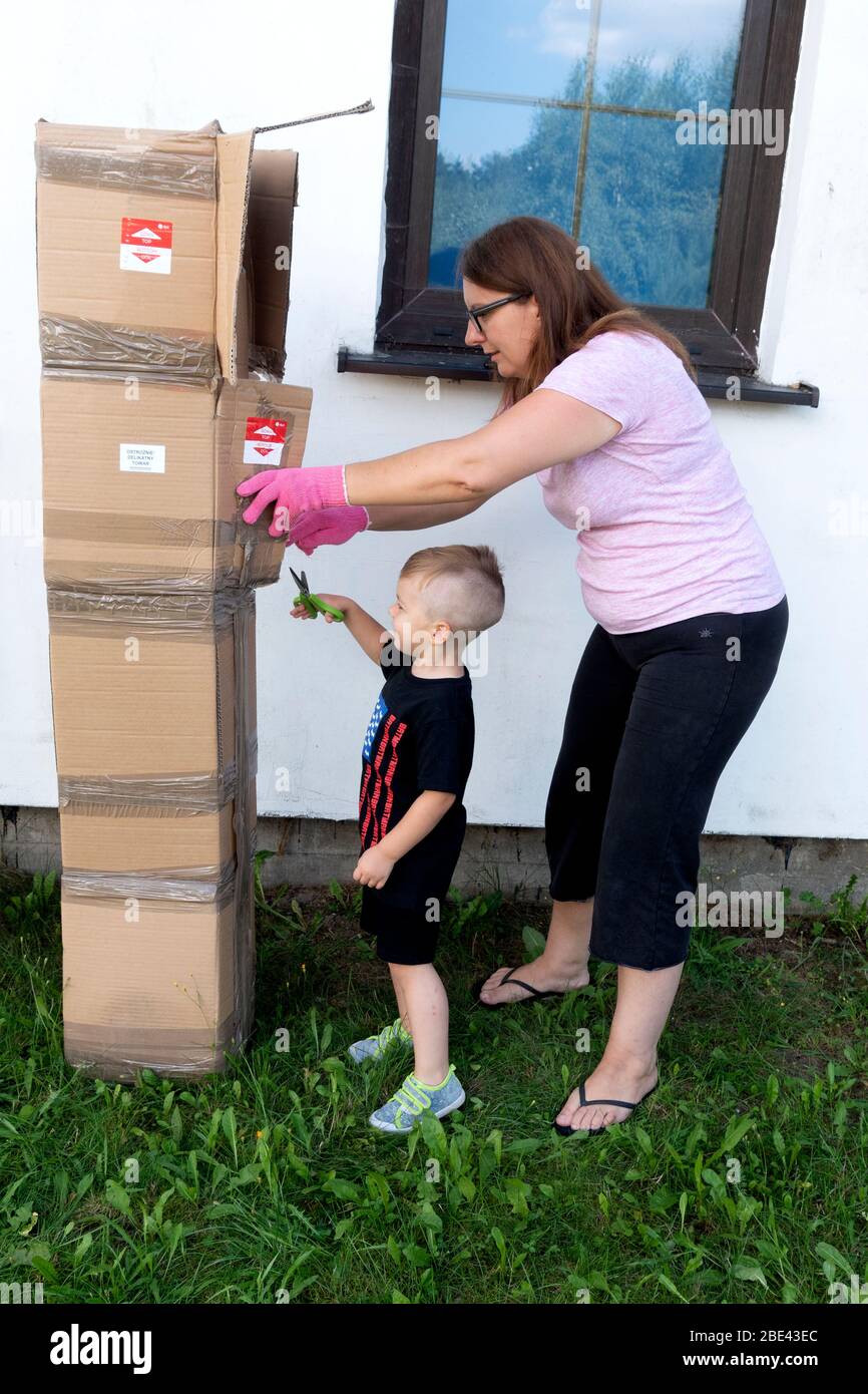 Sohn mit Schere hilft Mutter öffnen Apfel Obstbaum aus einem gerade gelieferten Paket. Zawady Gmina Rzeczyca Polen Stockfoto