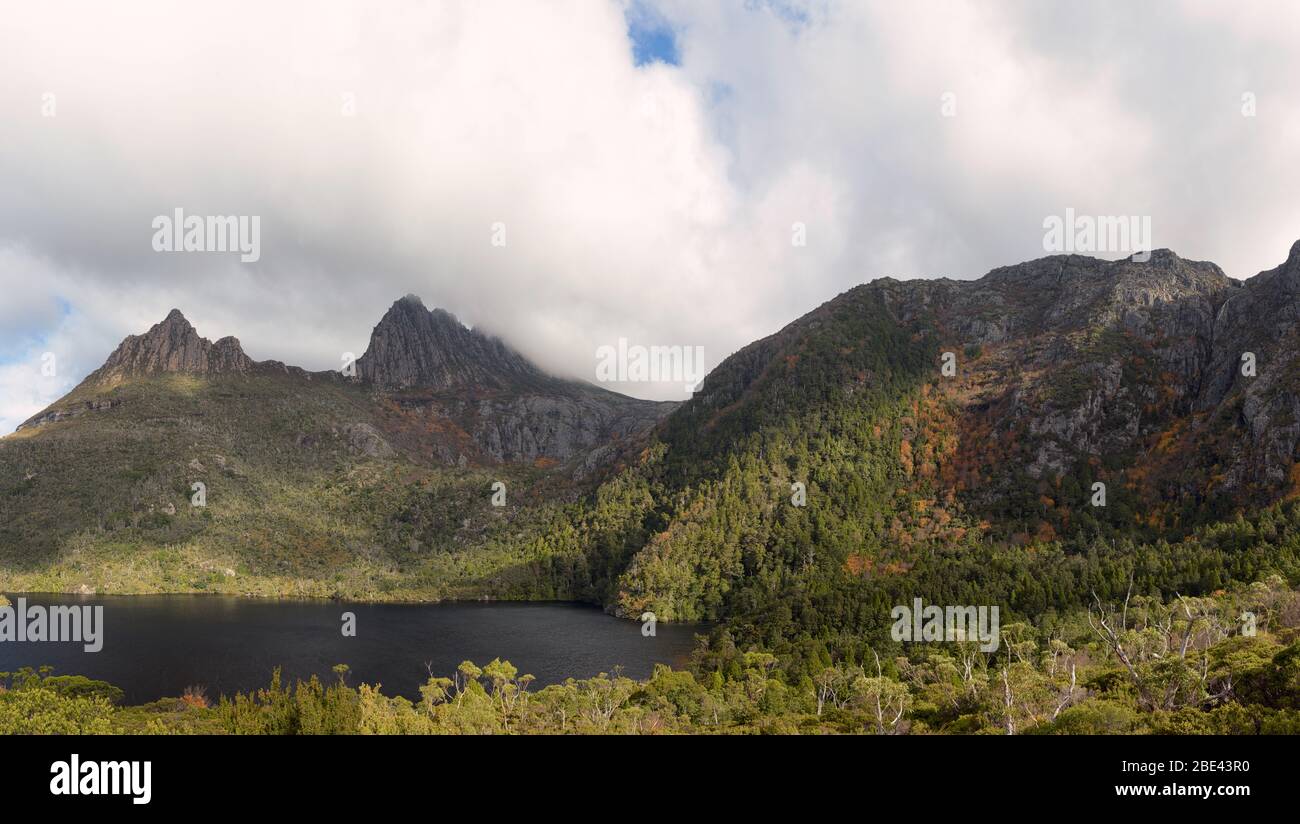 Panorama-blick auf einen Bergsee und die alpine Flora im Overland Track des Cradle Mountain National Park. Stockfoto